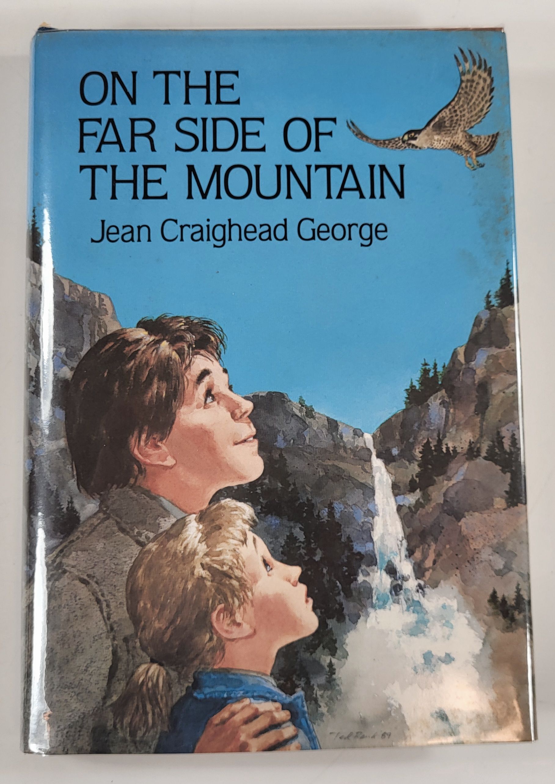 Image for On the Far Side of the Mountain On the Far Side of the Mountain