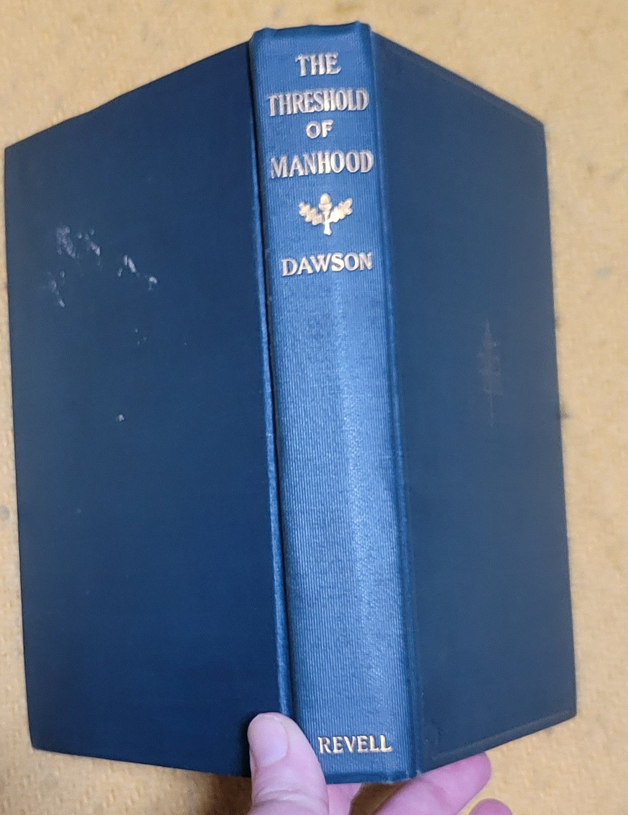 The Threshold of Manhood: A Young Man's Words to Young Men