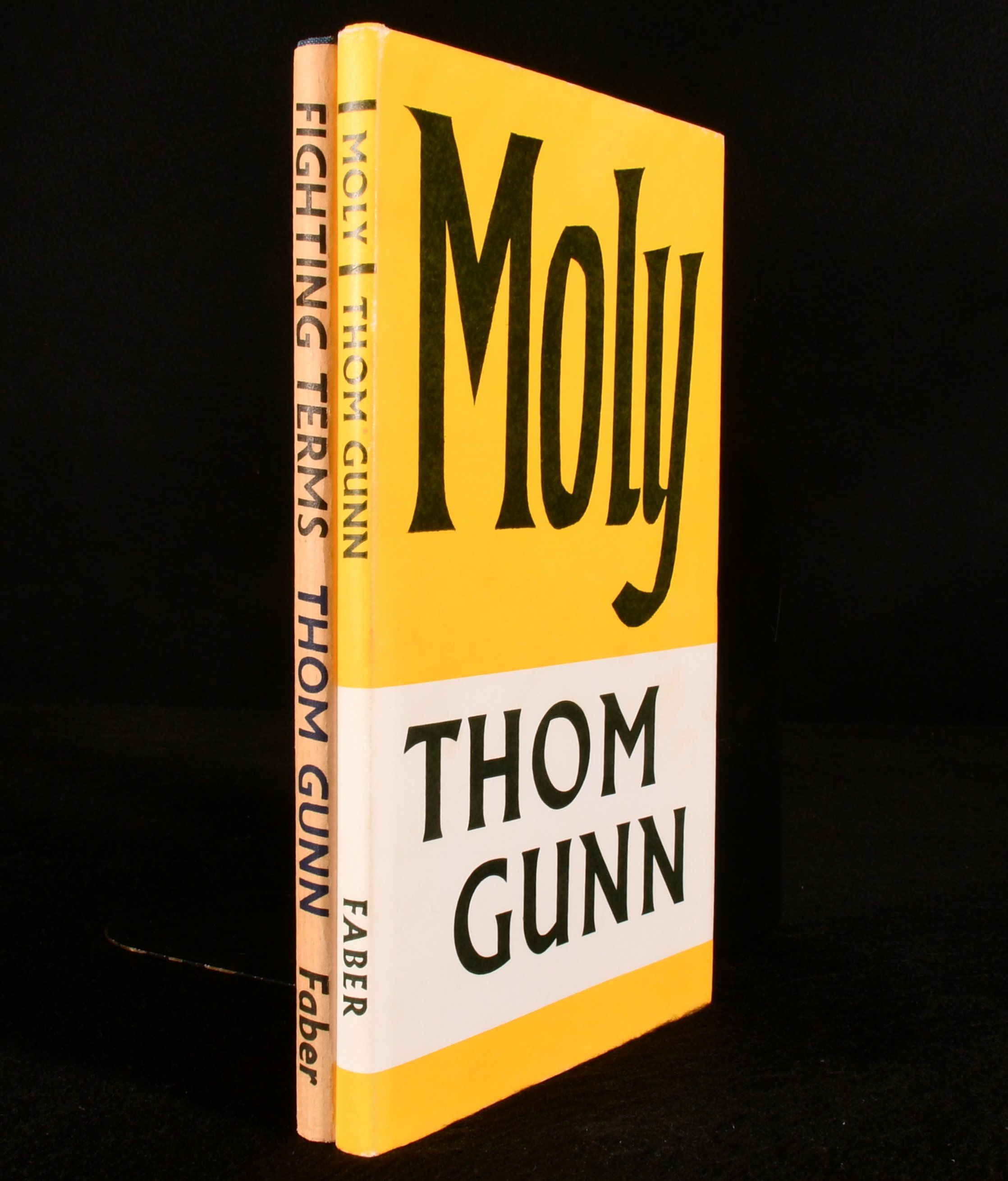 Thom Gunn - Fighting Terms