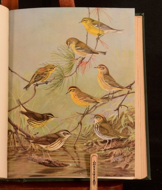 Edward Howe Forbush - Birds of Massachusetts and Other New England States