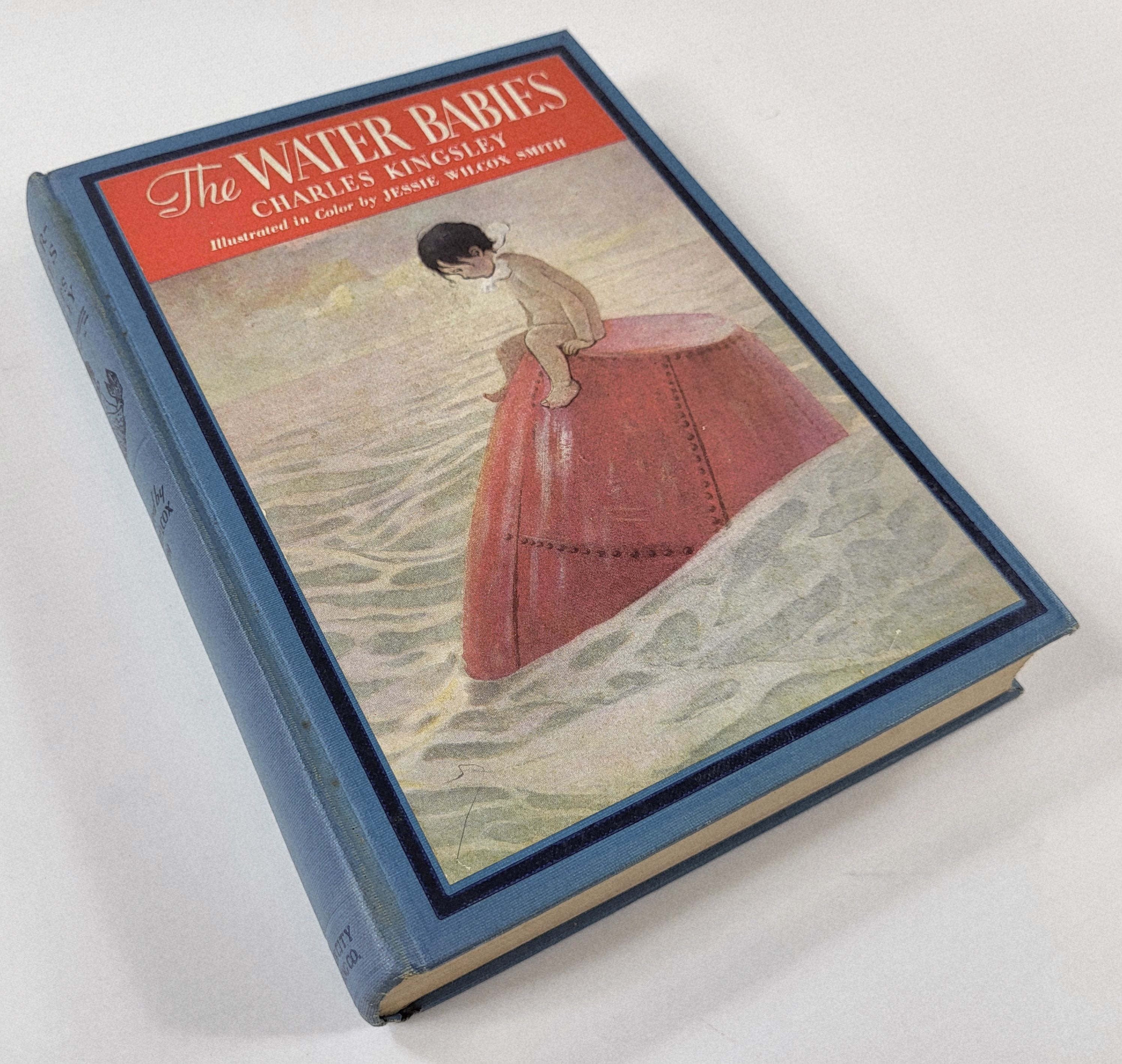 Image for The Water-Babies The Water-Babies