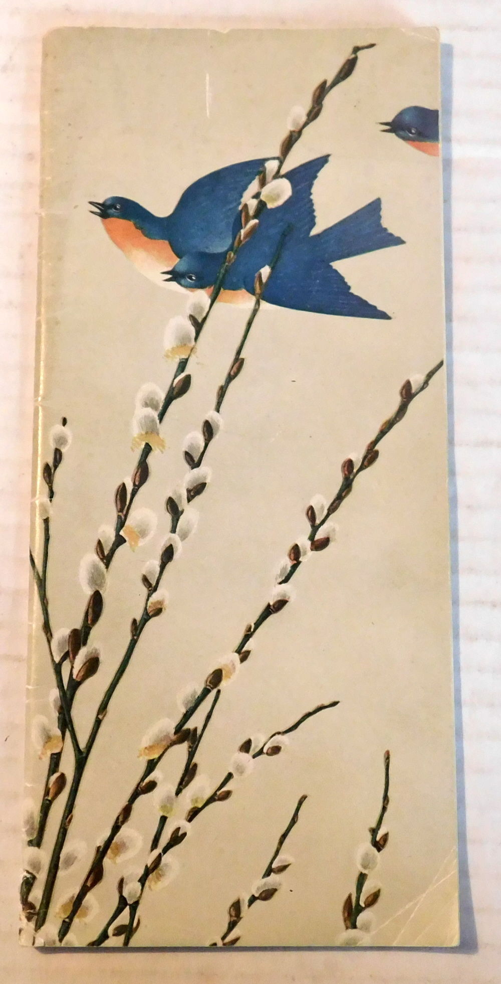 PUSSY WILLOWS AND THE BLUE BIRDS: [ORIGINAL 1921 ABERCROMBIE & FITCH CO. CATALOG of RIDING and Other SPORTING Clothes for Women].