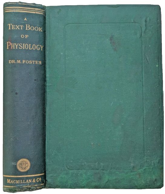 Image for A Textbook of Physiology. Second edition, revised and enlarged. A Textbook of Physiology. Second edition, revised and enlarged.