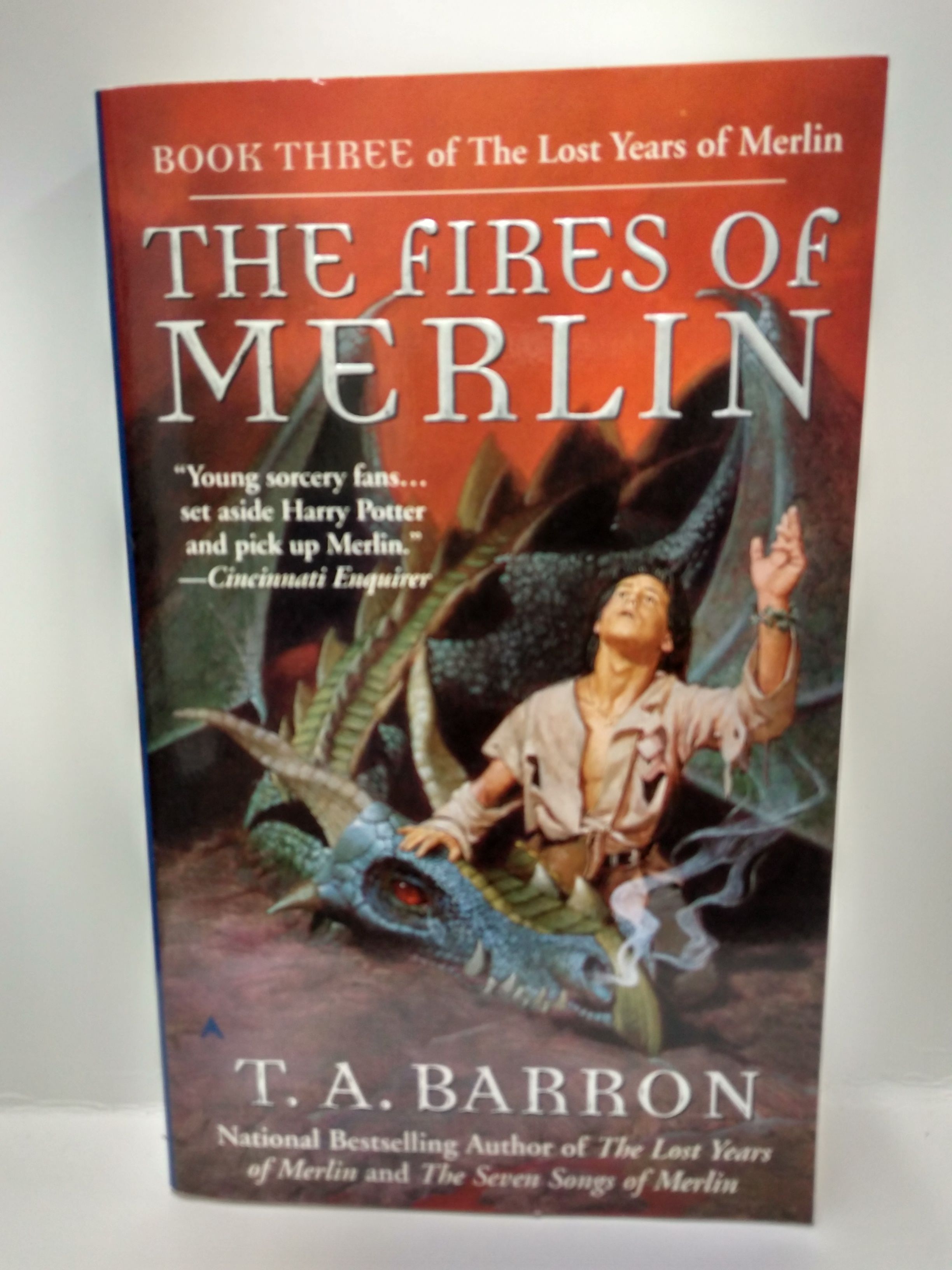 The Lost Years of Merlin (Lost Years of Merlin, Bk. 1)