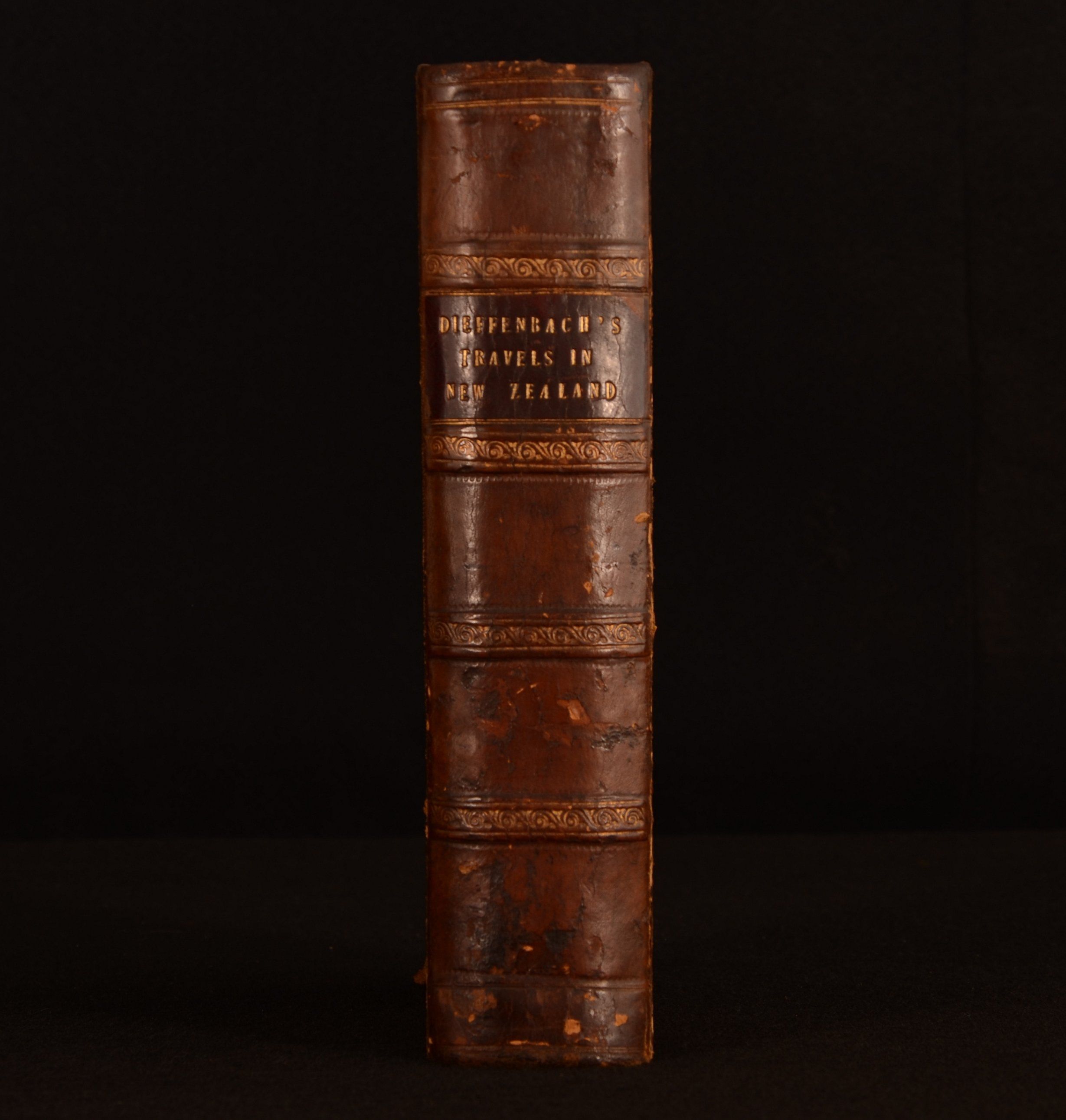 Ernest Dieffenbach - Travels in New Zealand