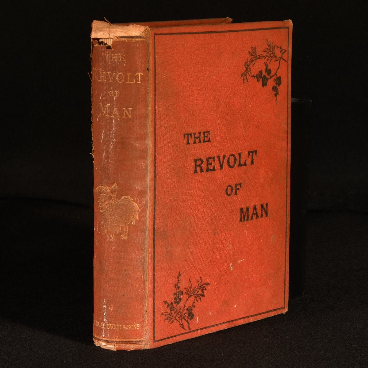 Walter Besant - The Revolt of Man