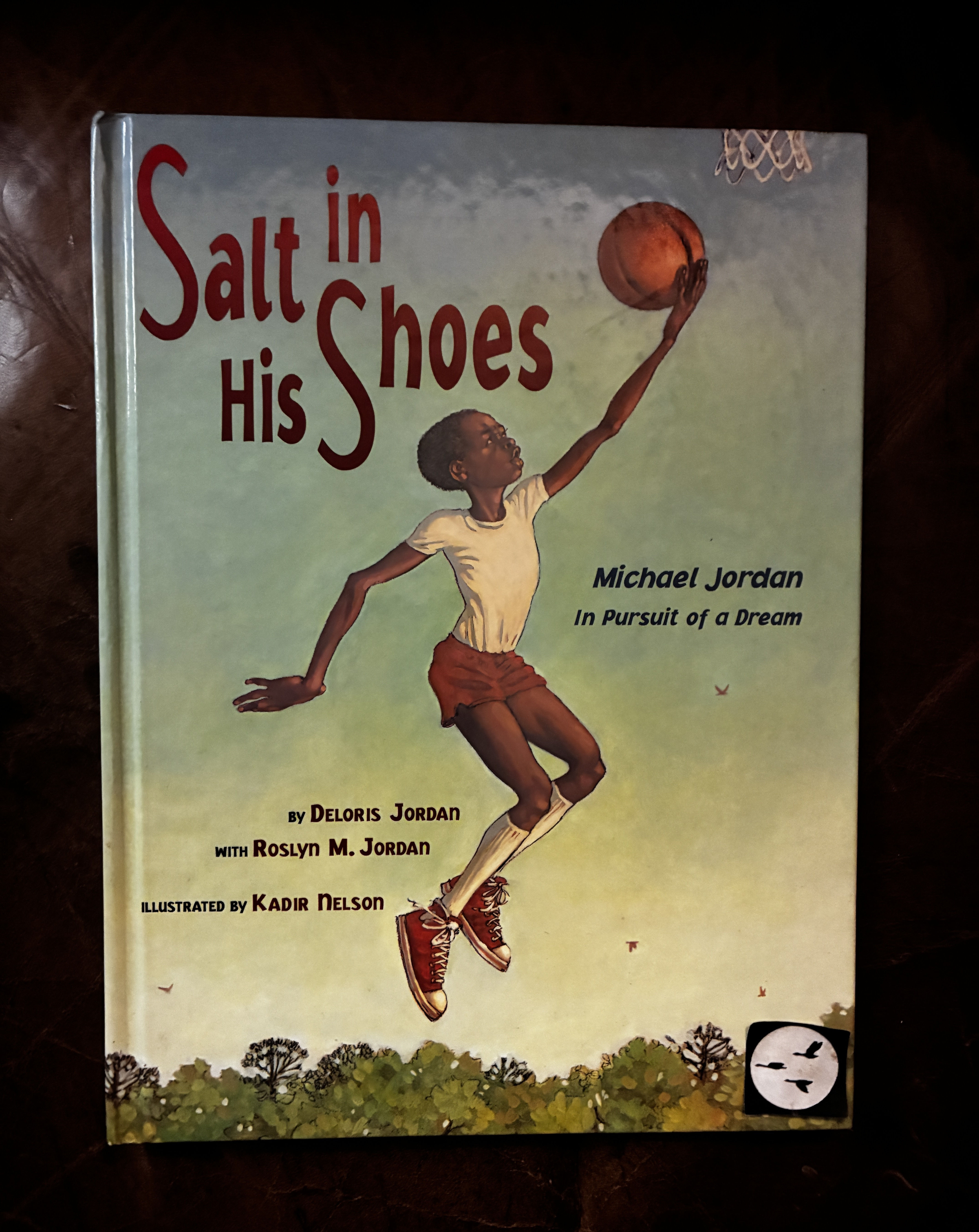 Salt In His Shoes: Michael Jordan in Pursuit of a Dream