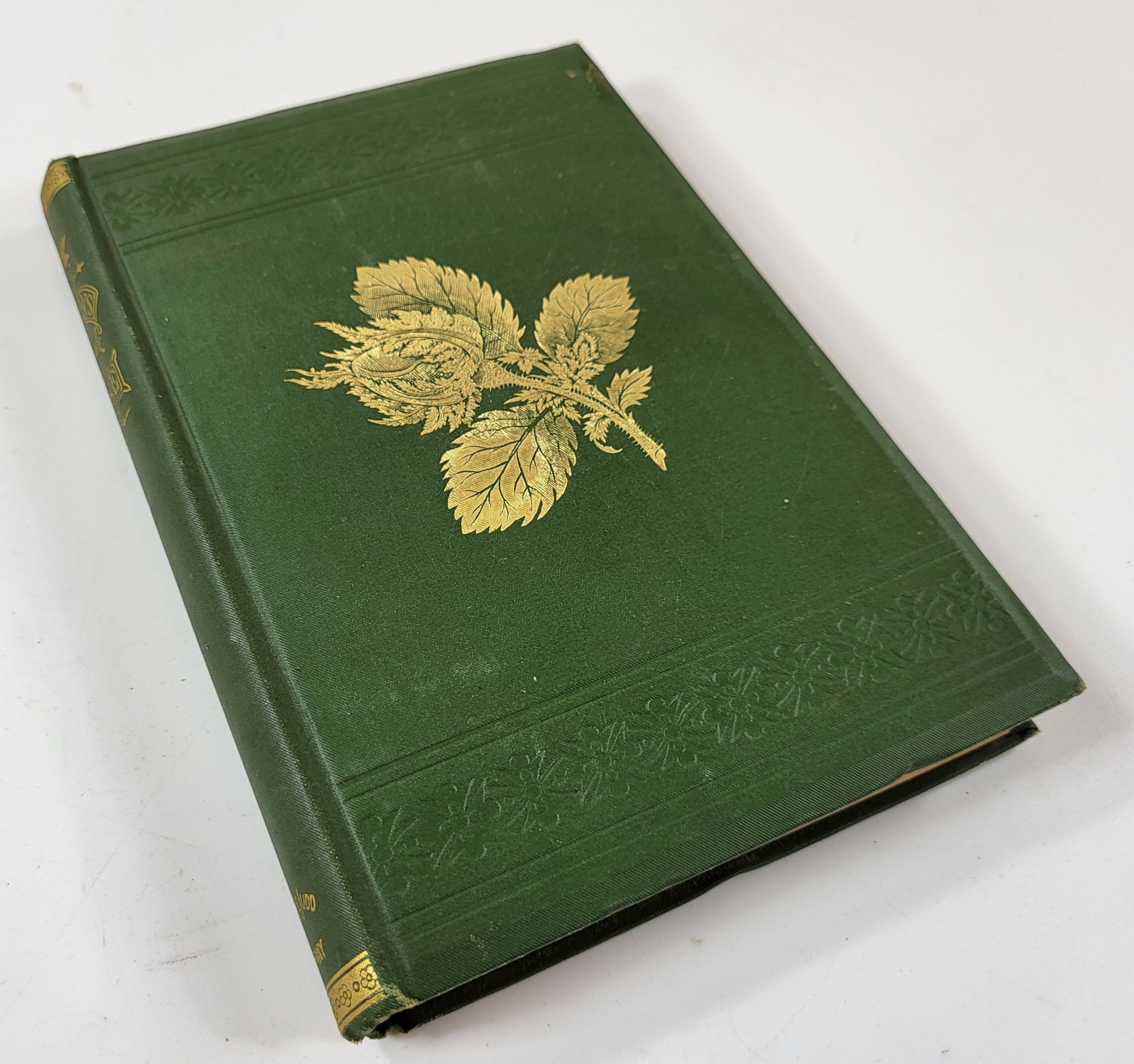 Image for Parsons on the Rose. A Treatise on the Propagation, Culture, and History of the Rose Parsons on the Rose. A Treatise on the Propagation, Culture, and History of the Rose