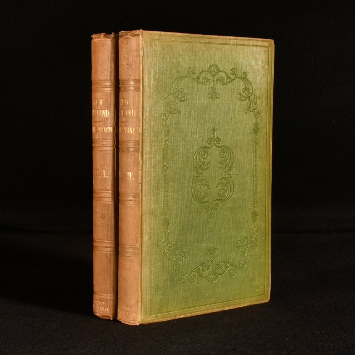 Ernest Dieffenbach - Travels in New Zealand