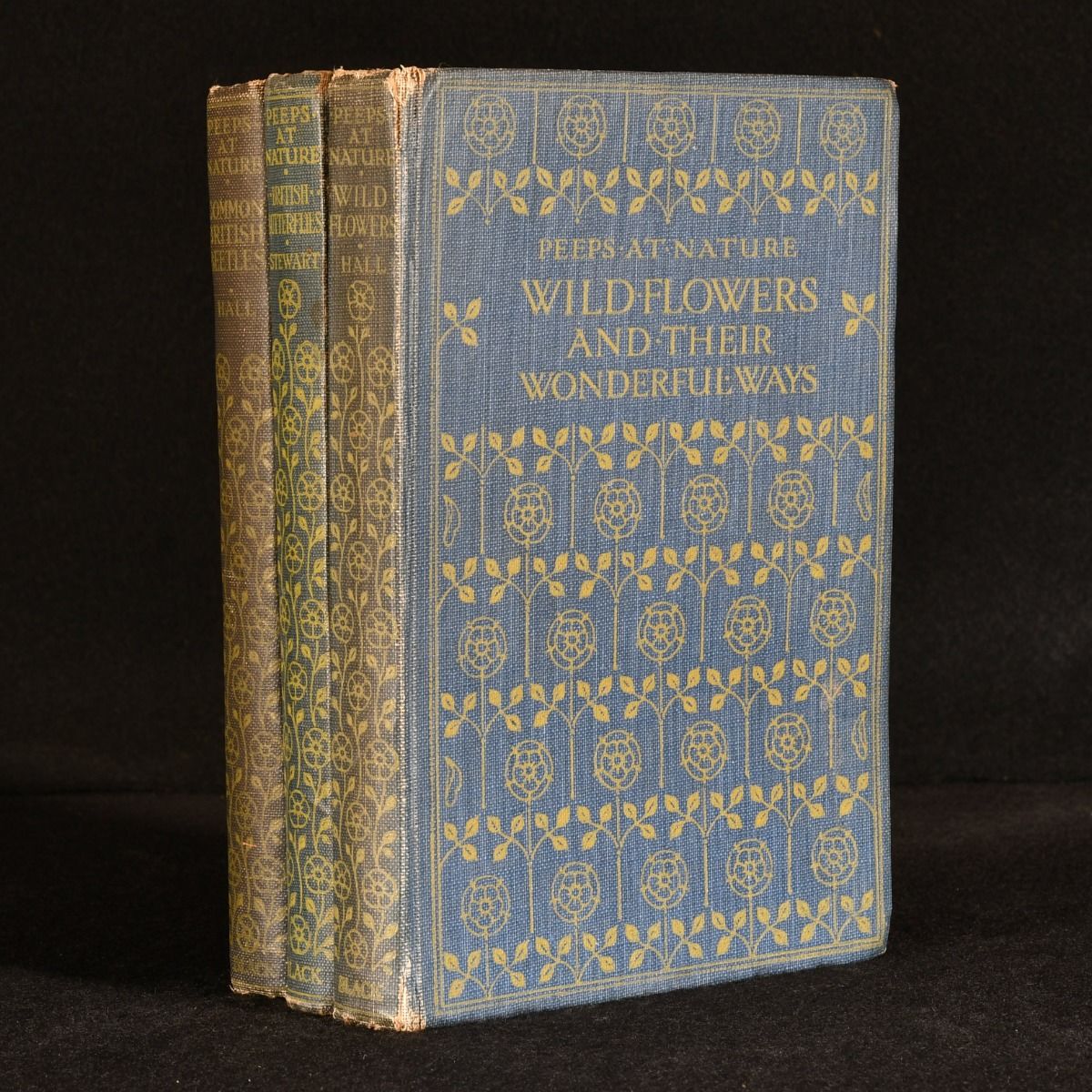 Charles A. Hall; A. M. Stewart - Peeps at Nature: Common British Beetles, British Butterflies, & Wild Flowers and Their Wonderful Ways