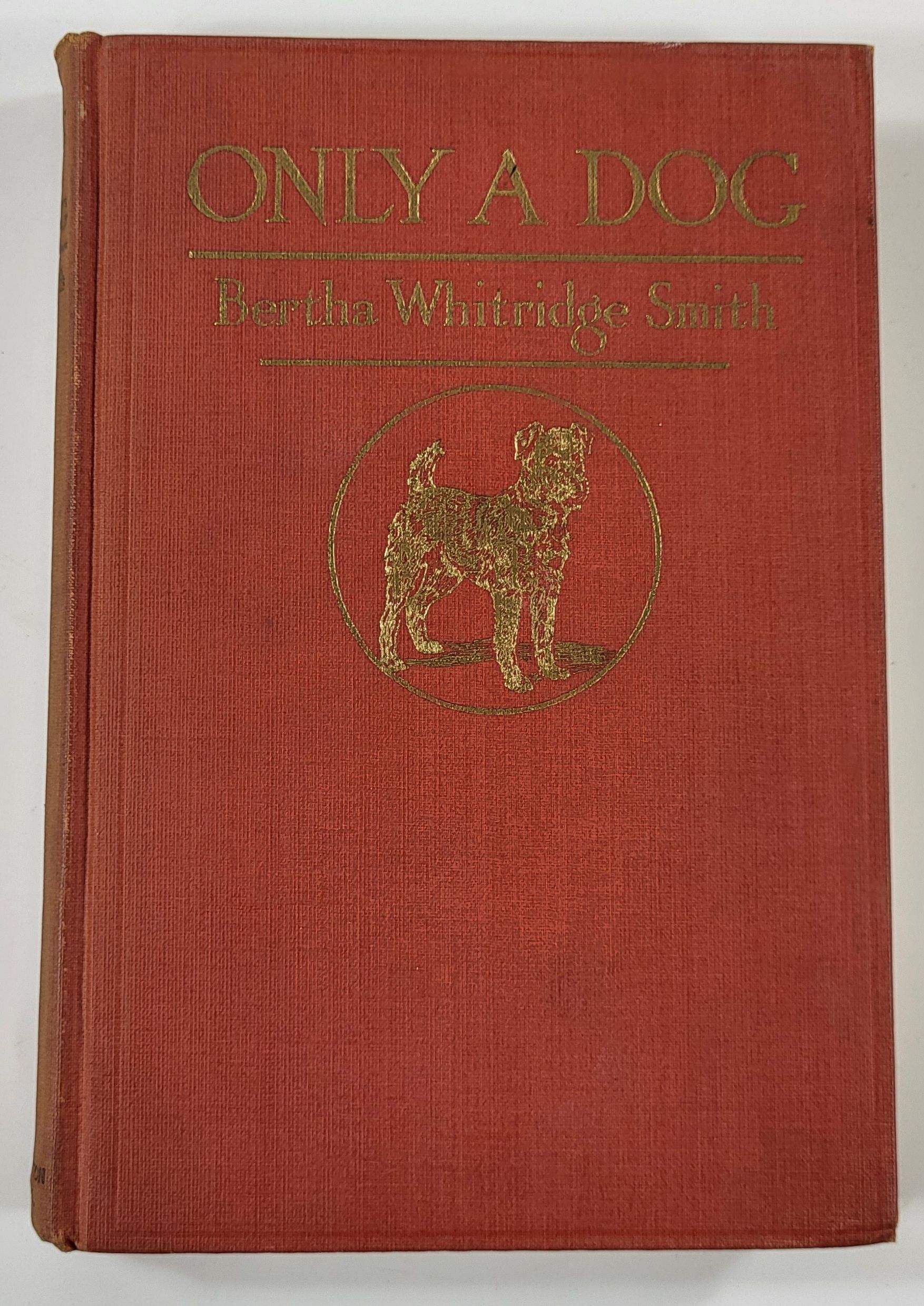 Image for Only a Dog: A Story of the Great War Only a Dog: A Story of the Great War