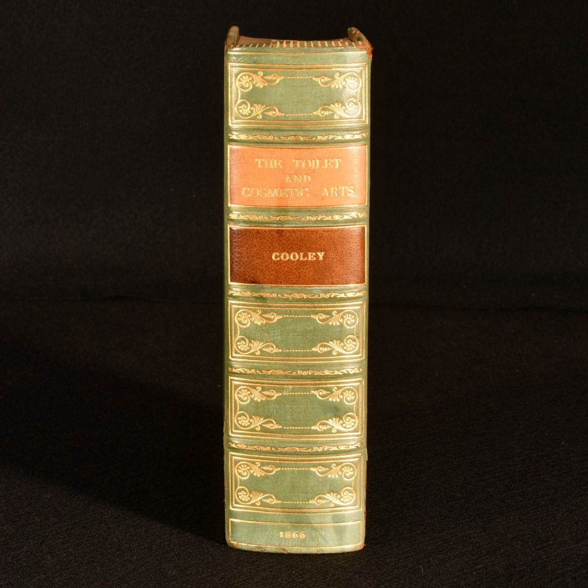 Arnold J. Cooley - The Toilet and Cosmetic Arts in Ancient and Modern Times