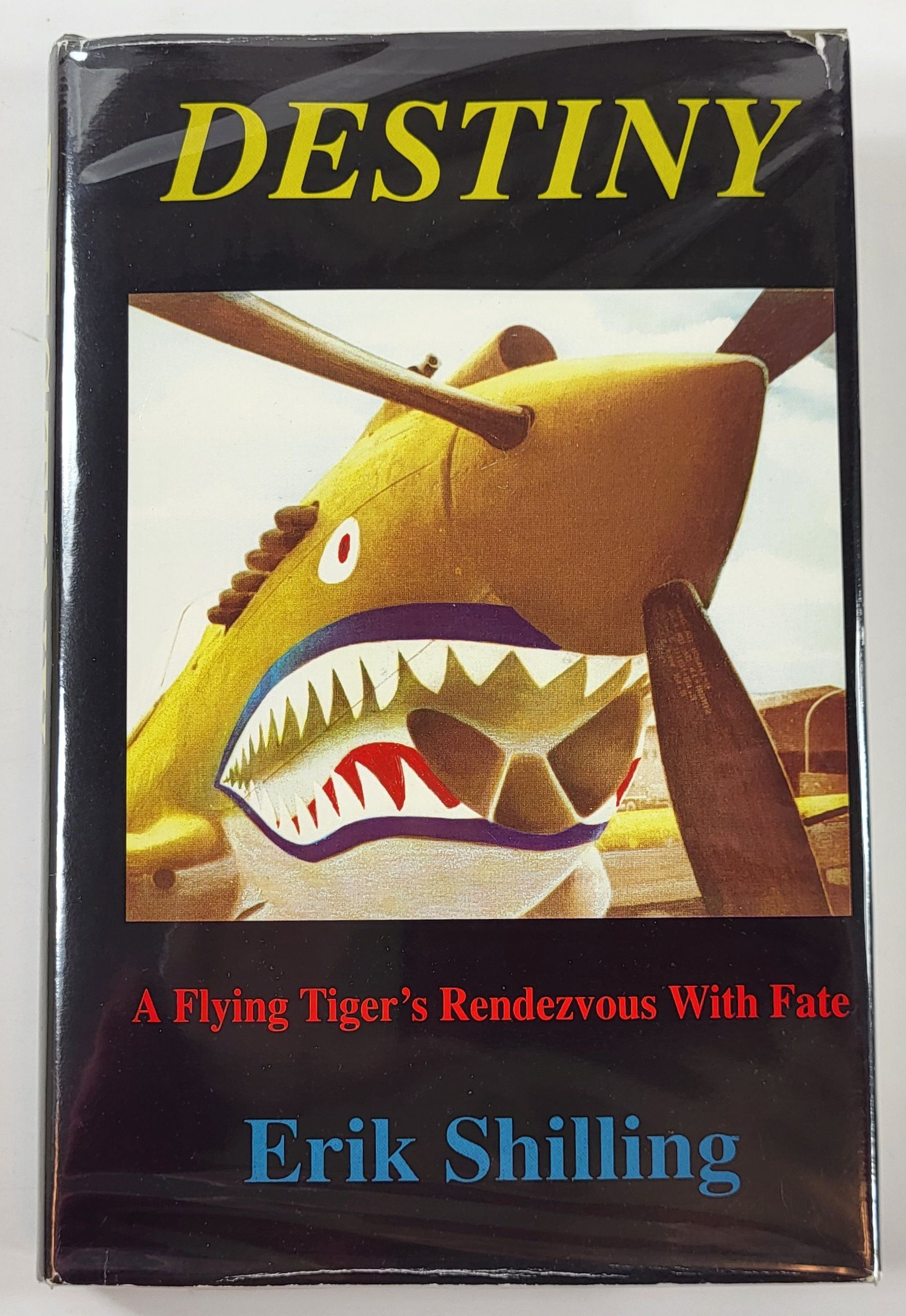 Image for Destiny: A Flying Tiger's Rendezvous with Fate Destiny: A Flying Tiger's Rendezvous with Fate