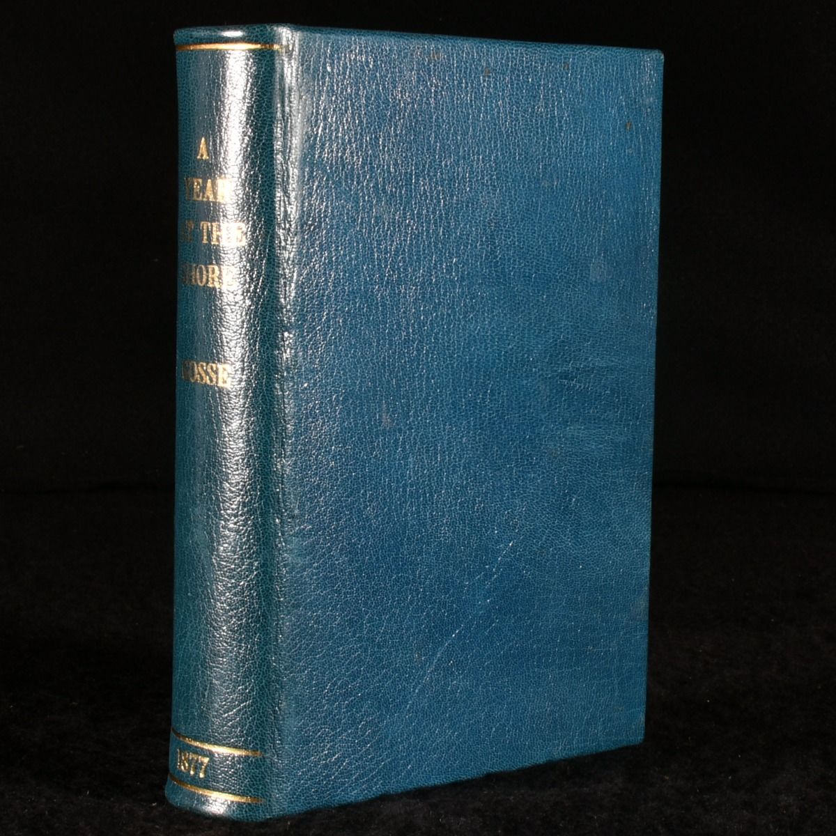 Philip Henry Gosse - A Year at the Shore