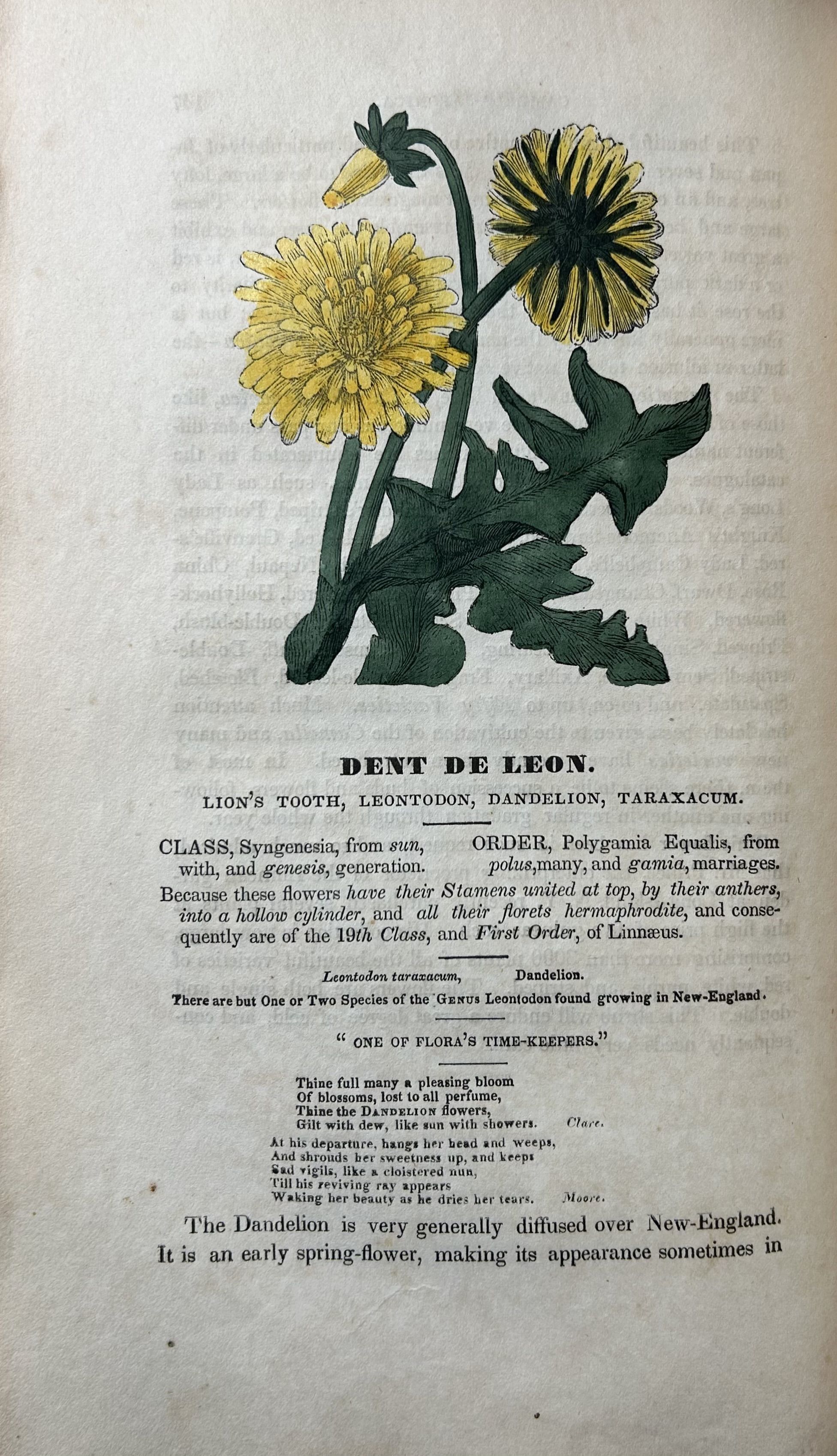 Flores Poetici. The Florist's Manual: Designed as an Introduction to Vegetable Physiology and Systematic Botany, for Cultivators of Flowers with more than Eighty Beautifully-Coloured Engravings of Poetic Flowers.