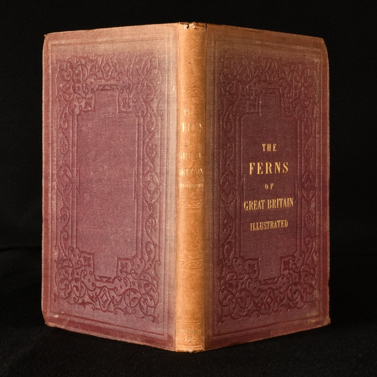 Charles Johnson - The Ferns of Great Britain