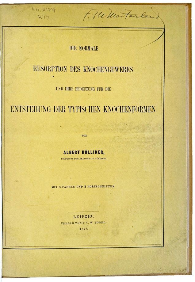 Die Normale Resorption des Knochengewebes und ihre bedeutung fur die entstehung der typischen knochenformen.