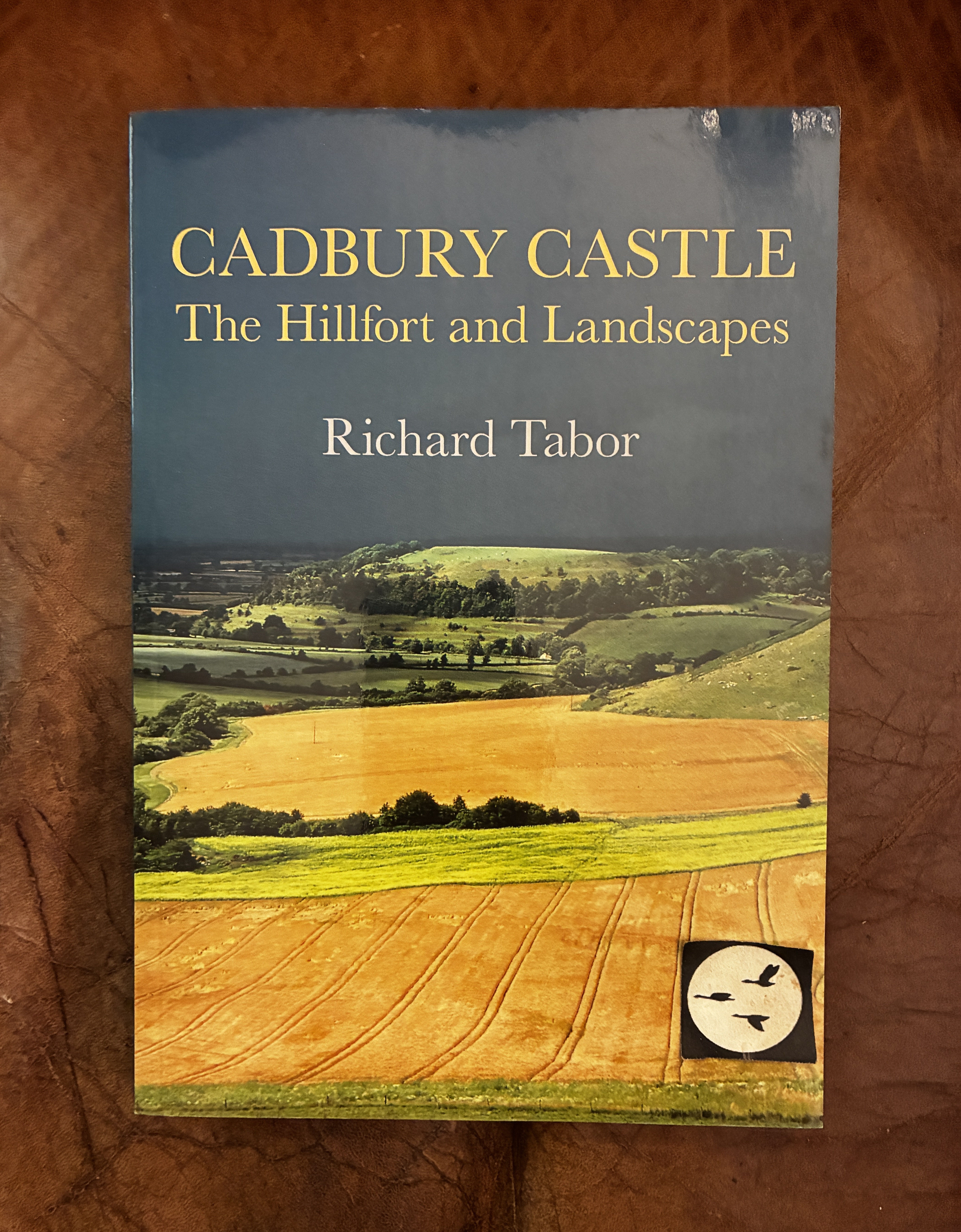 Image for Cadbury Castle The Hillfort and Landscapes Cadbury Castle The Hillfort and Landscapes