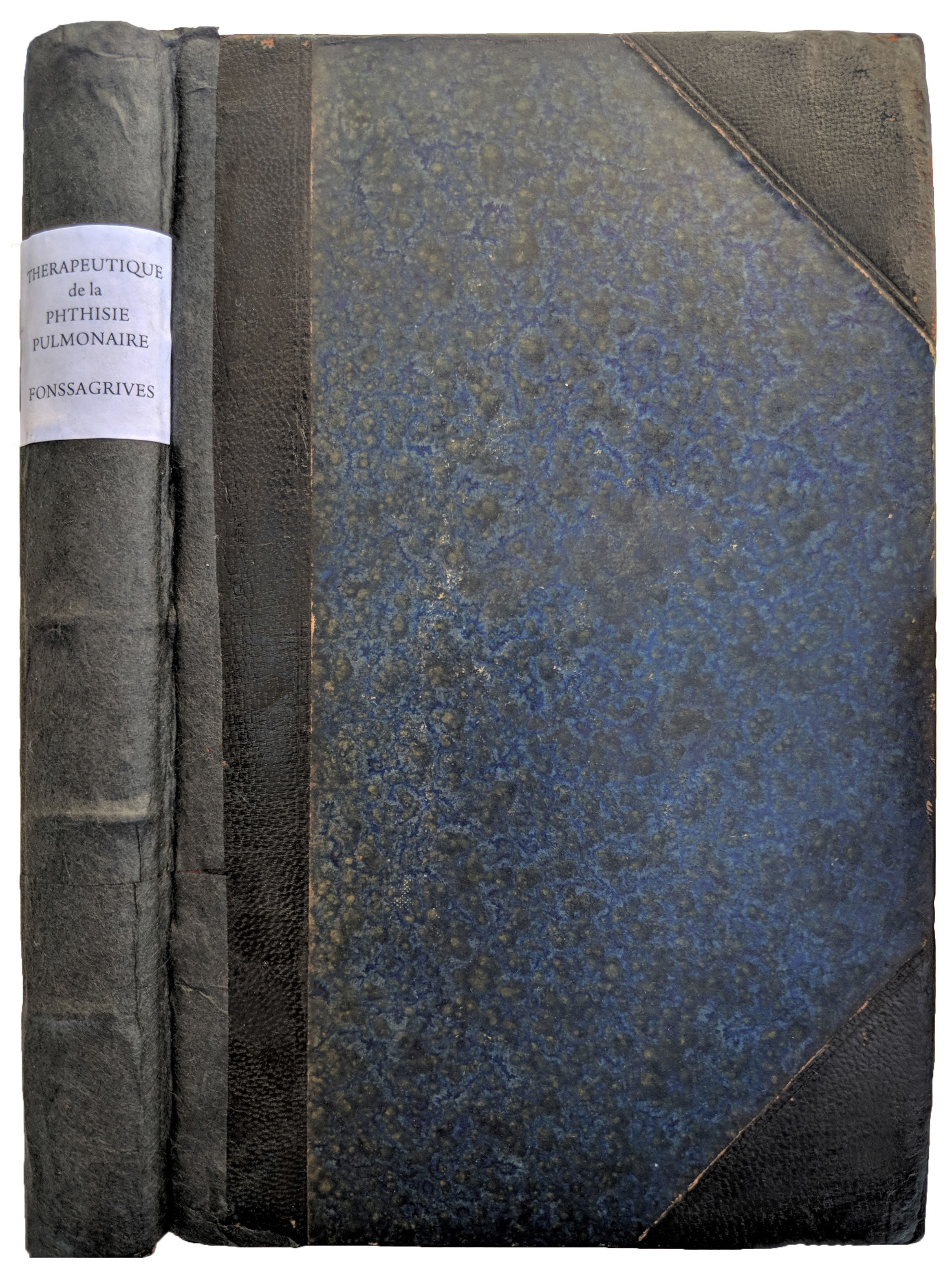 Therapeutique de la Phthisie Pulmonaire Basee sur Les Indications ou L'art de Prolonger la Vie des Phthisiques Par Les Ressources Combinees De L'hygiene Medicale.