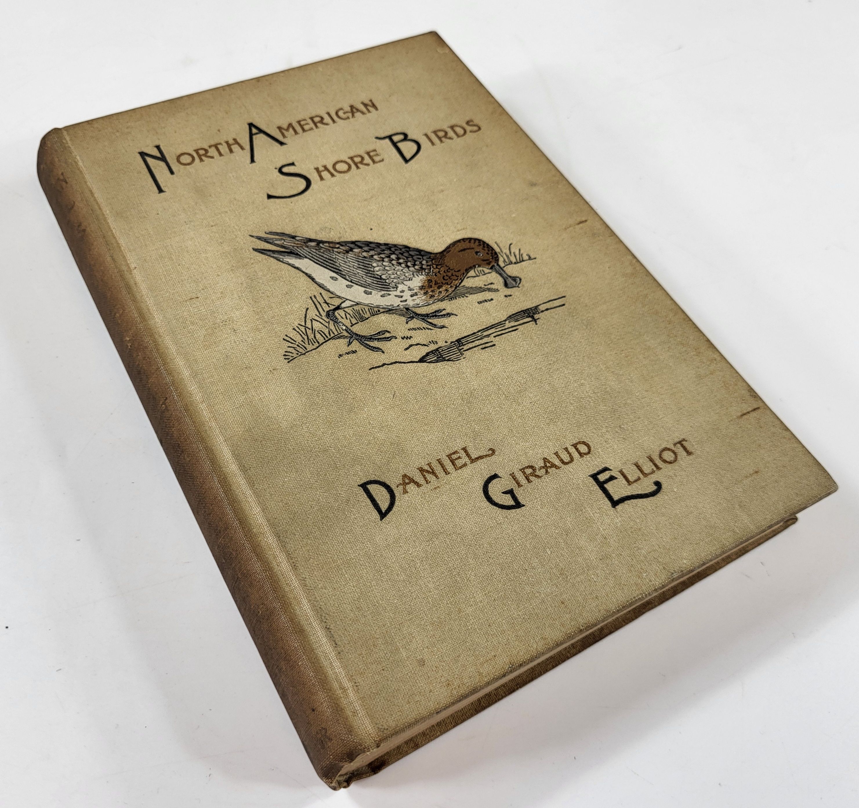 Image for North American Shore Birds: A History of the Snipes, Sandpipers, Plovers and Their Allies North American Shore Birds: A History of the Snipes, Sandpipers, Plovers and Their Allies