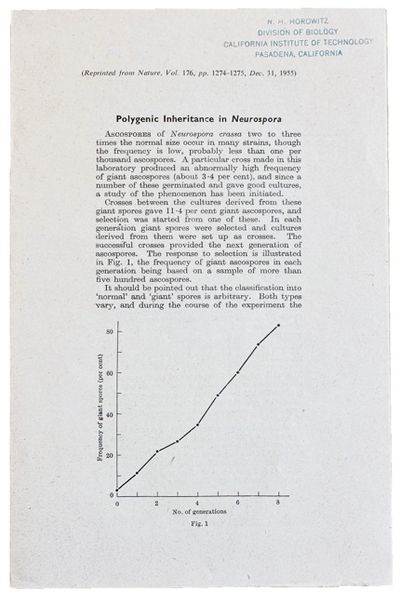 Group of 10 offprints. Includes: PATEMAN. 