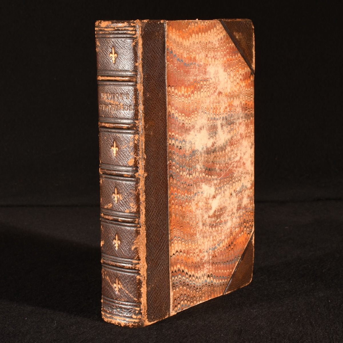 Thomas Bewick - A General History of the Quadrupeds