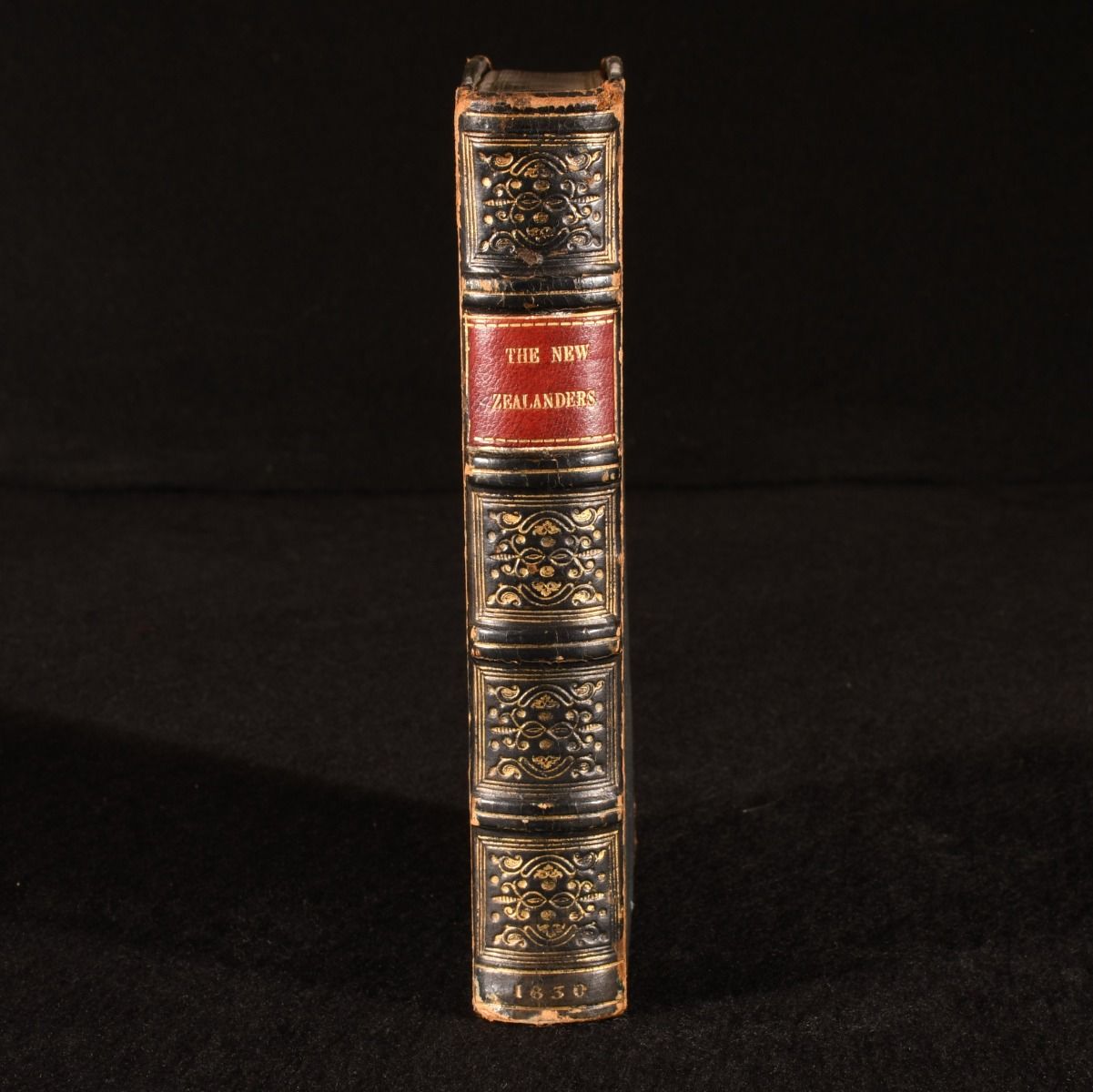 [George Craik] - The New Zealanders