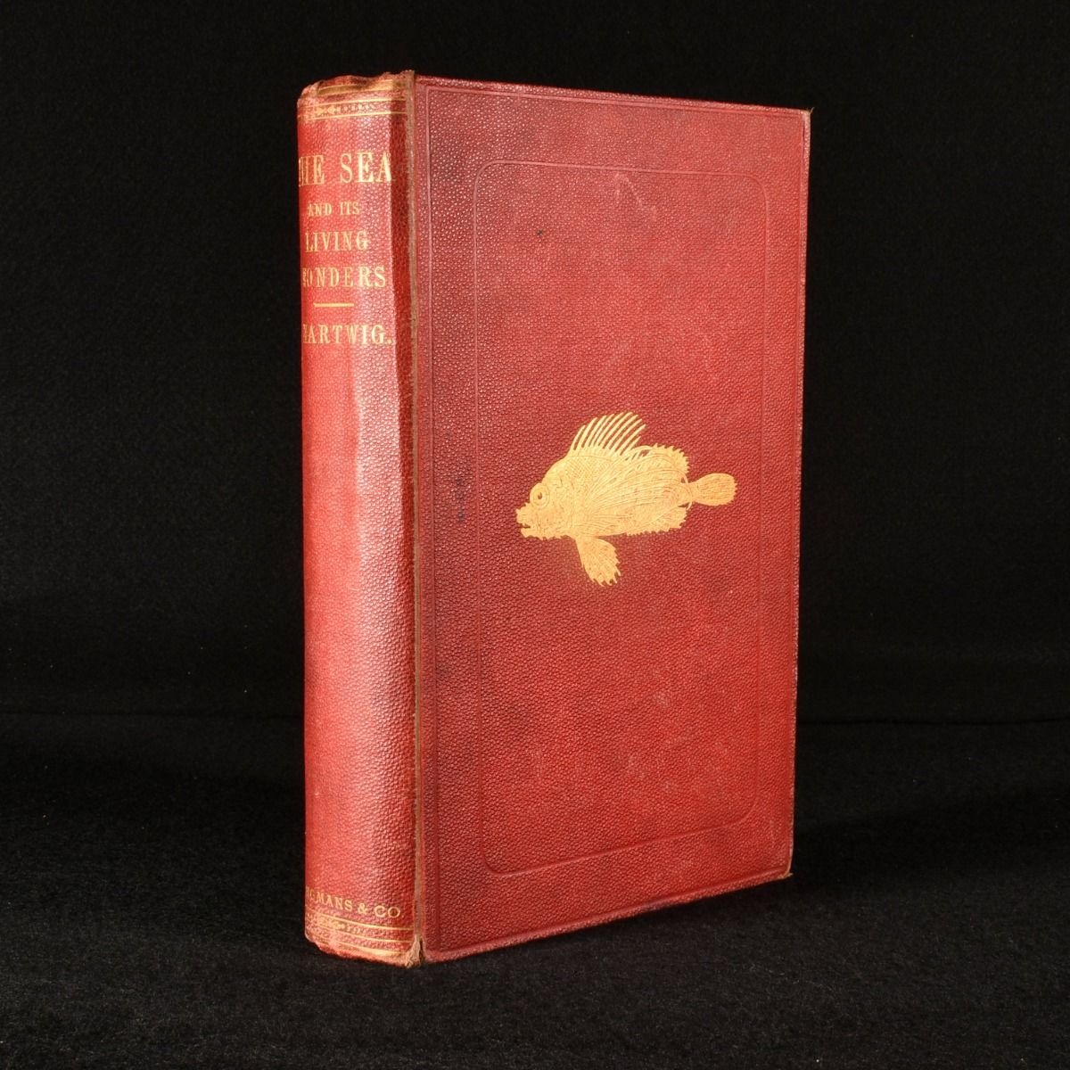 G Hartwig - The Sea and Its Living Wonders