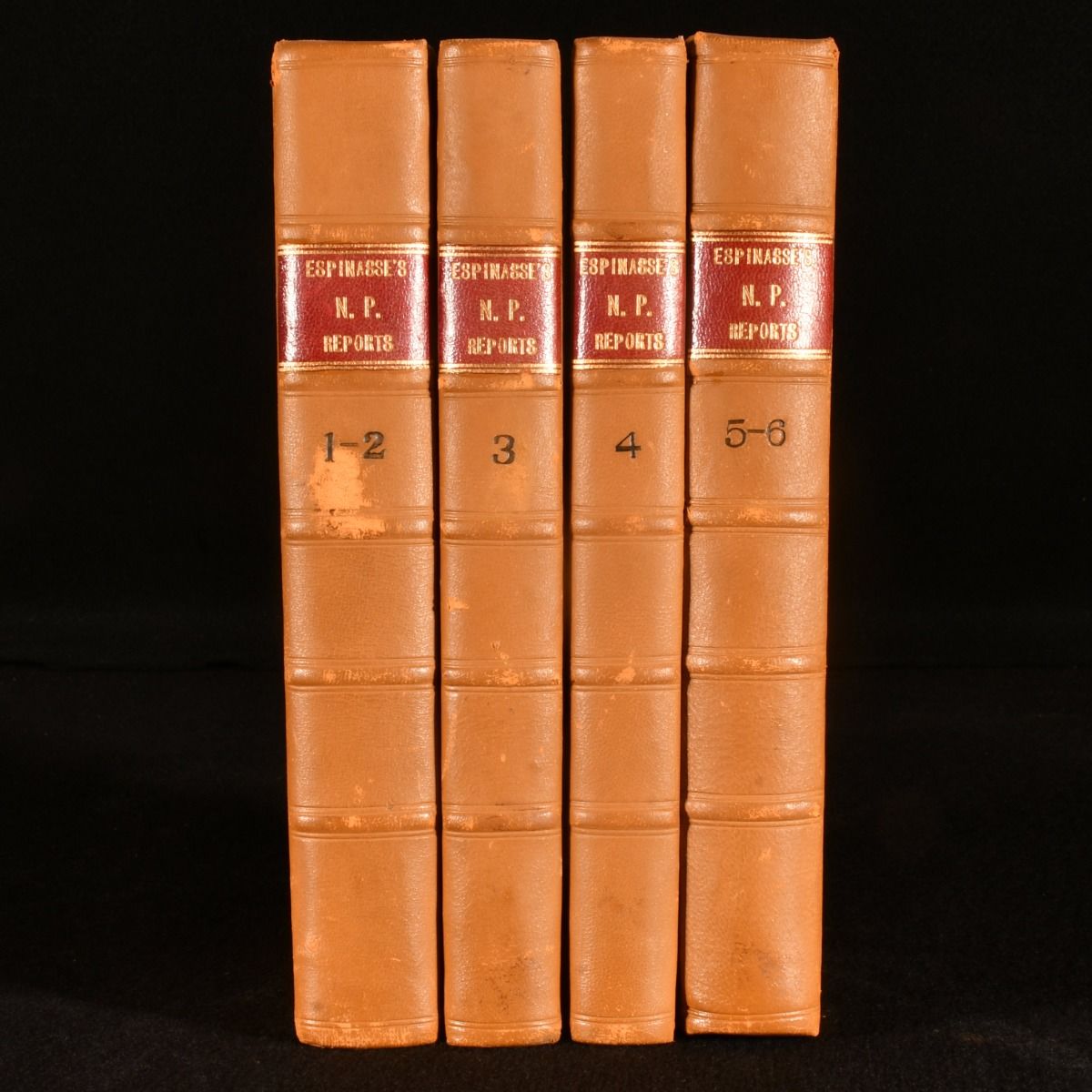 Isaac Espinasse - Reports of Cases Argued and Ruled at Nisi Prius, in the Courts of King&Apos;S Bench and Common Pleas