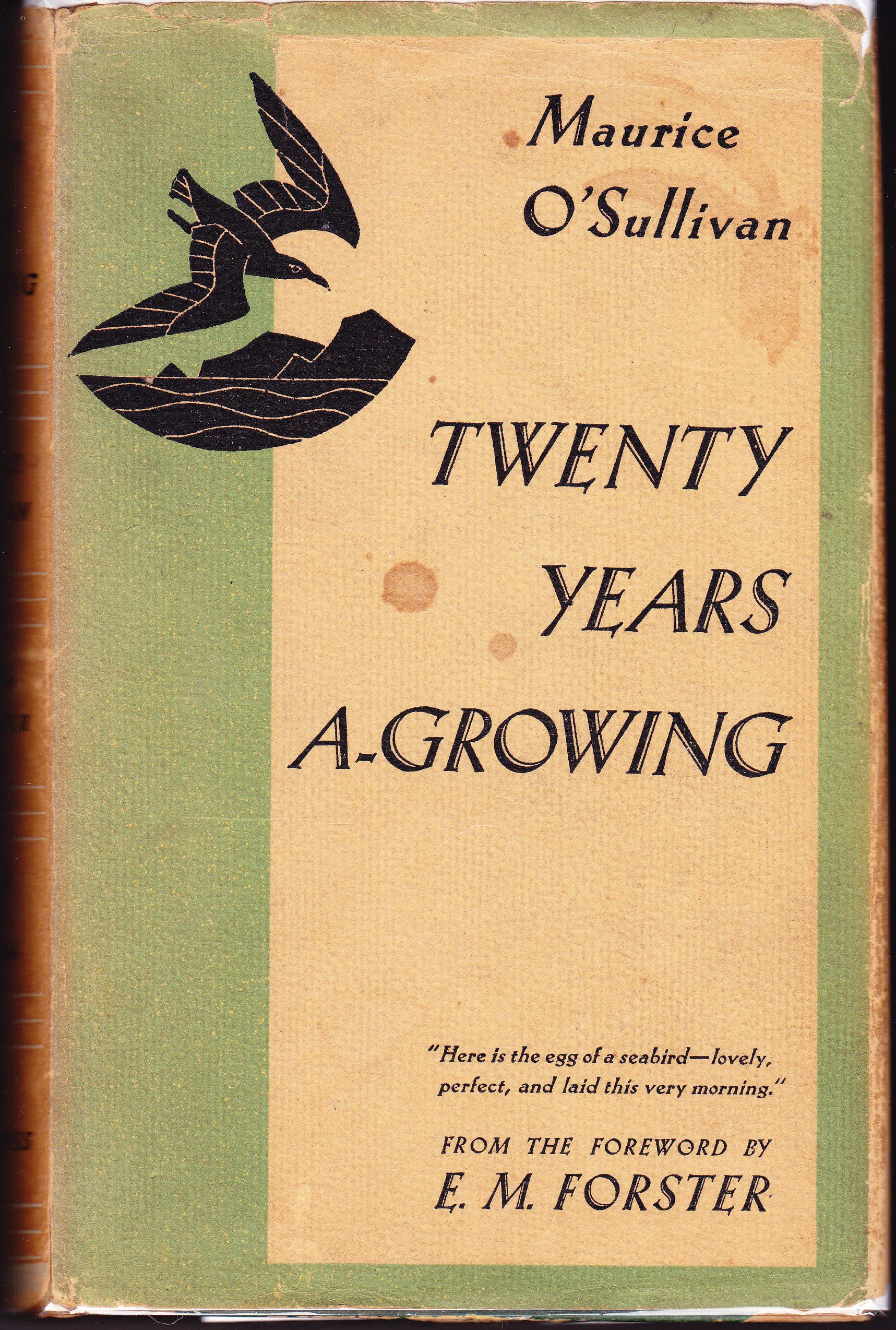 Twenty Years A-Growing