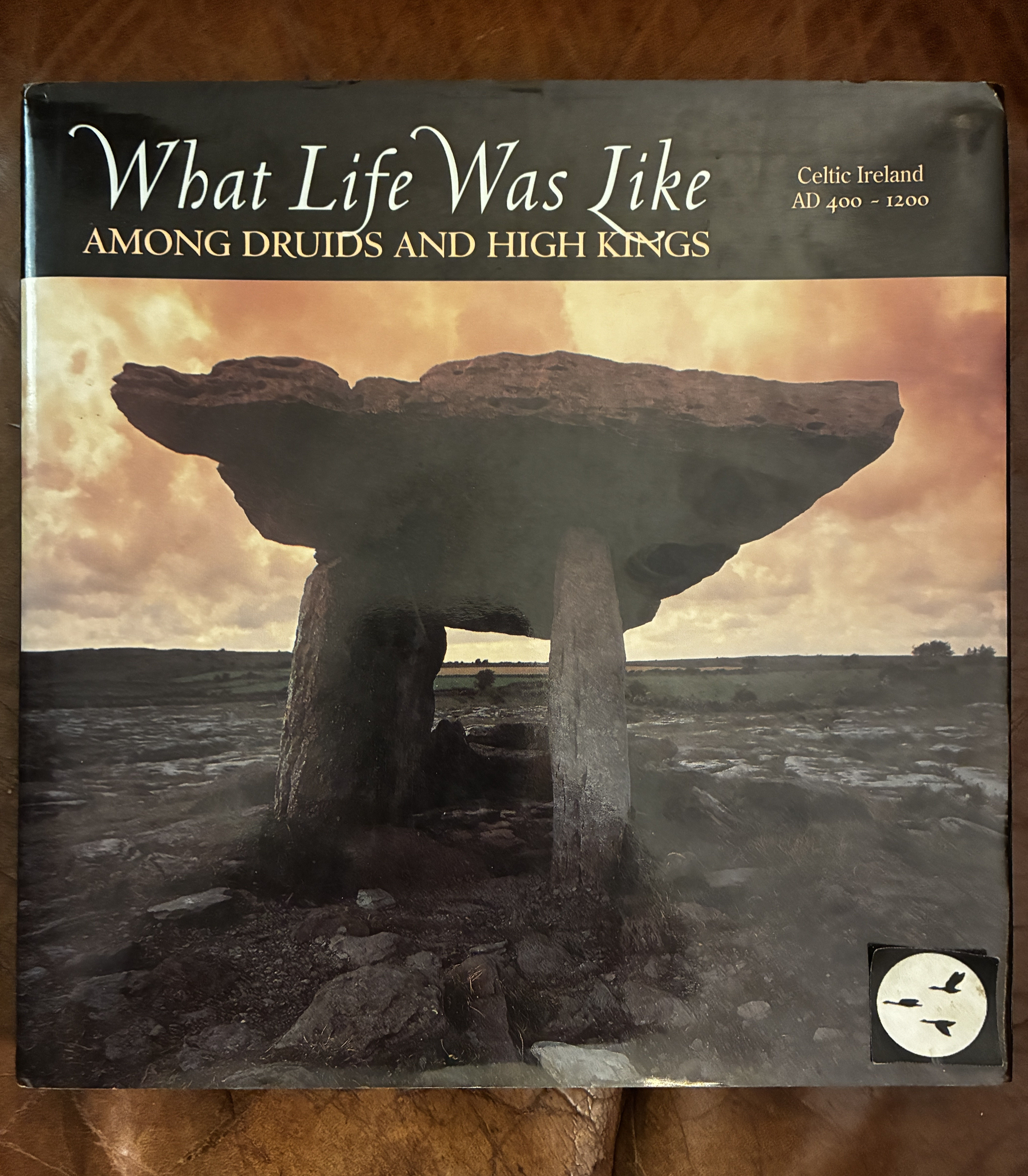 What Life Was Like: Among Druids and High Kings Celtic Ireland Ad 400-1200