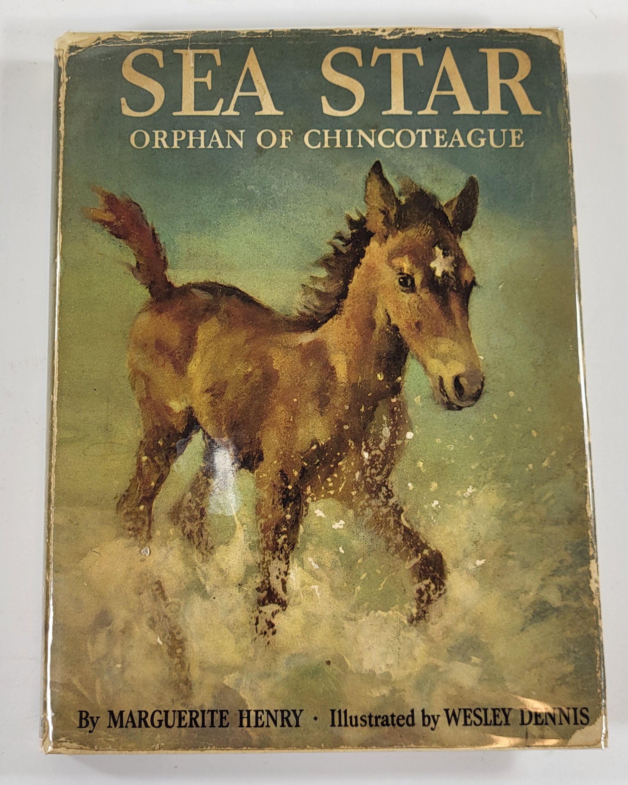 Image for Sea Star: Orphan of Chincoteague Sea Star: Orphan of Chincoteague