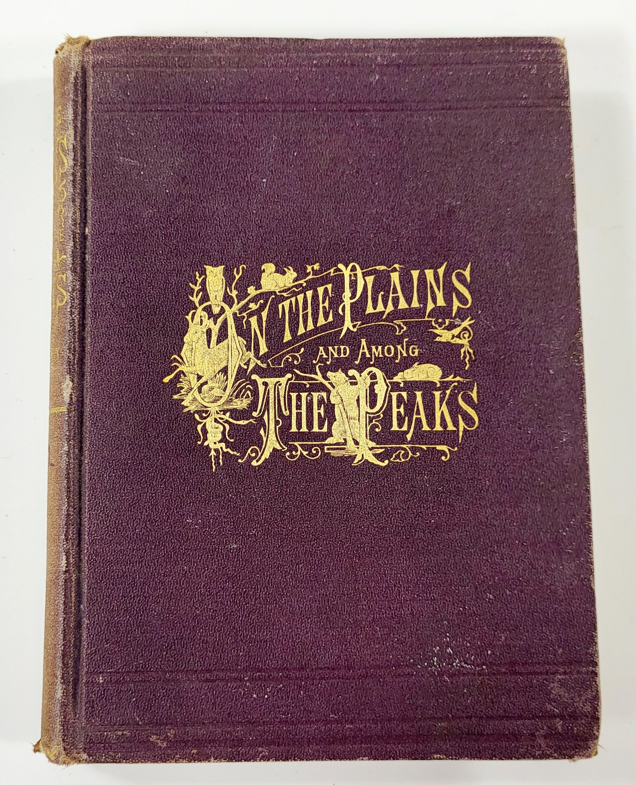On the Plains, and Among the Peaks; or, How Mrs. Maxwell Made Her Natural History Collection