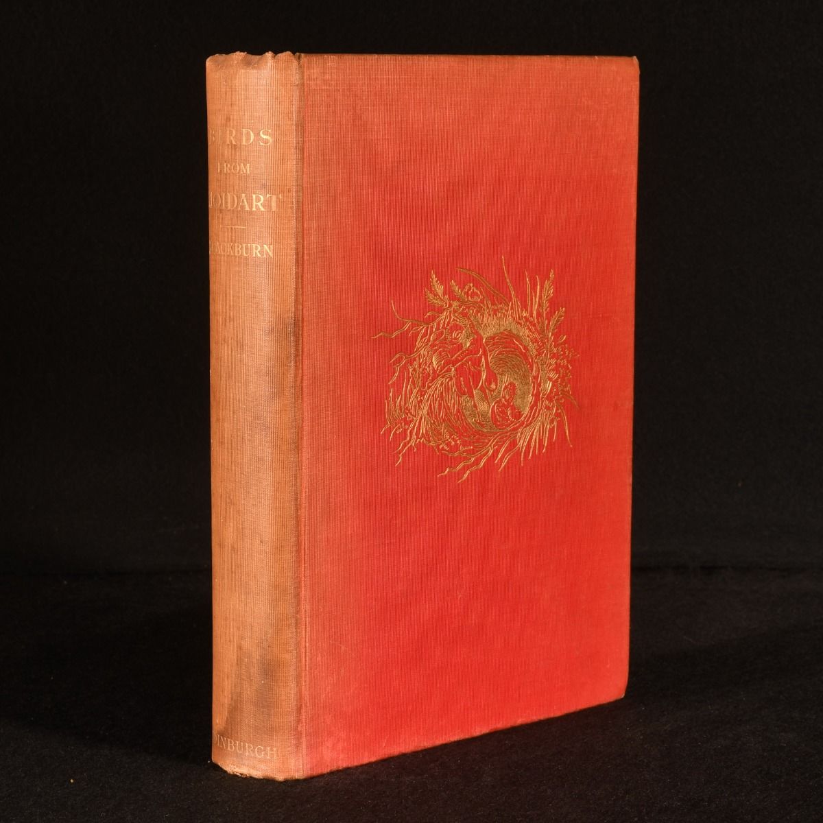 Mrs. Hugh Blackburn [Jemima Wedderburn Blackburn] - Birds from Moidart and Elsewhere