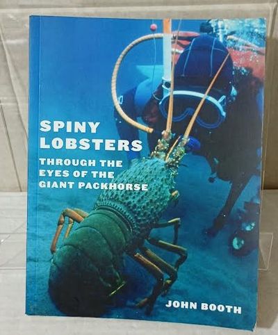 Spiny Lobsters: Through the Eyes of the Giant Packhorse