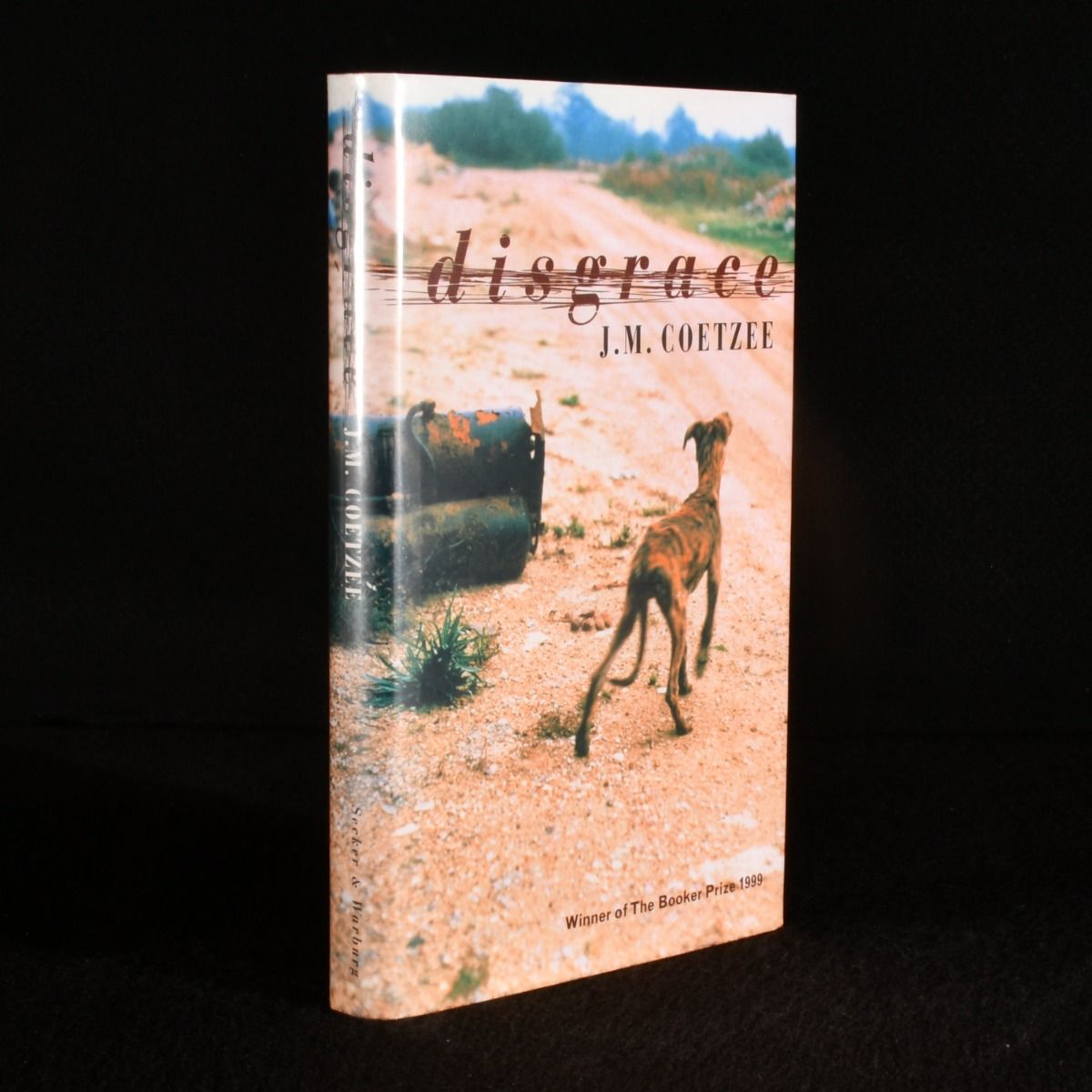 J. M. Coetzee - Disgrace
