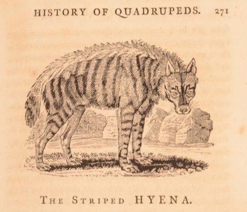 Thomas Bewick; Ralph Beilby - A General History of Quadrupeds