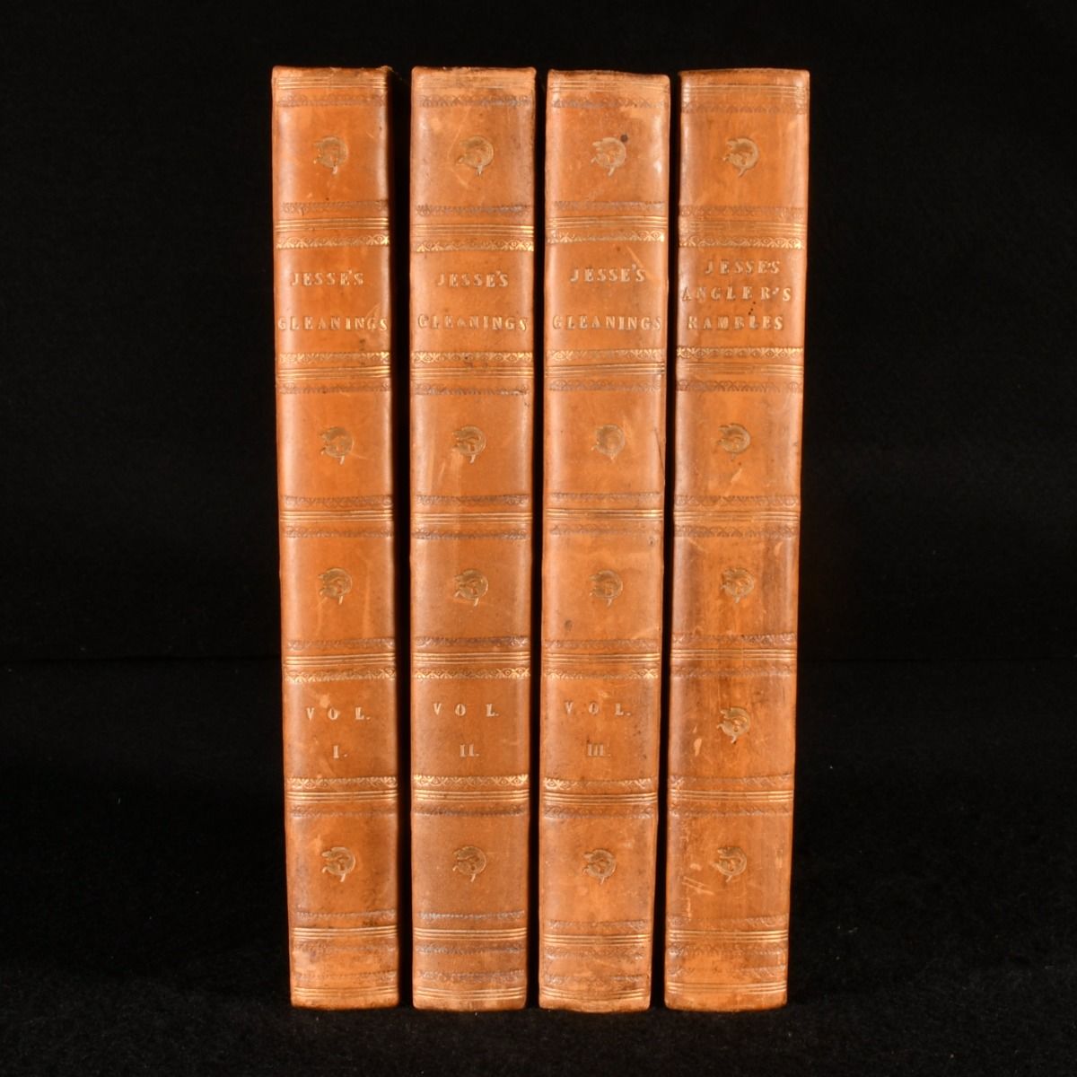 Edward Jesse - Gleanings in Natural History and an Angler&Apos;S Rambles