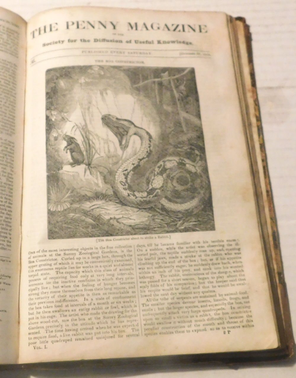 THE PENNY MAGAZINE OF THE SOCIETY FOR THE DIFFUSION OF USEFUL KNOWLEDGE. Volumes 1 -5, Issues No. 1 through 305. Complete, including all 57 Supplements.
