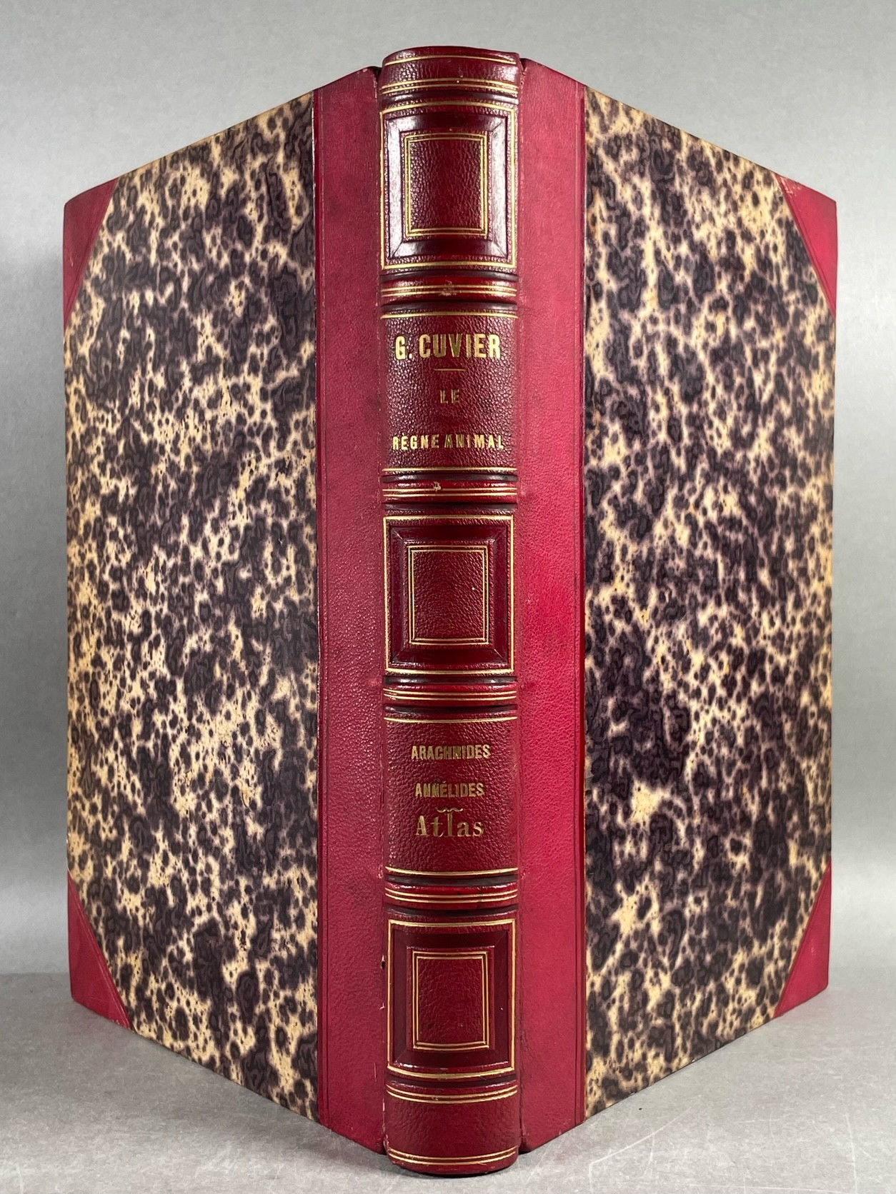 Le Regne Animal Distribue d'Apres son Organisation [Les Arachnides / Les Annelides]