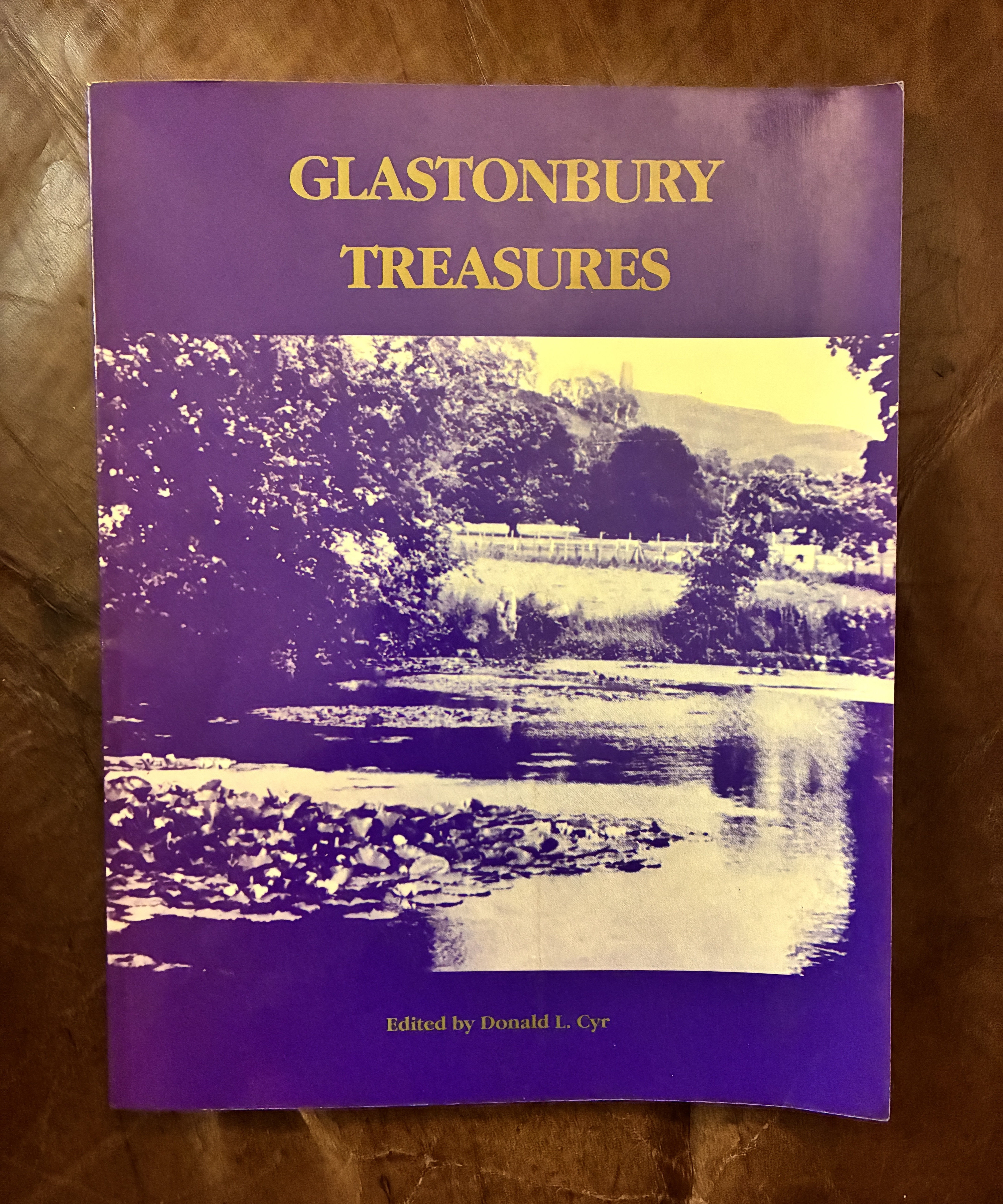 Image for Glastonbury Treasures Glastonbury Treasures