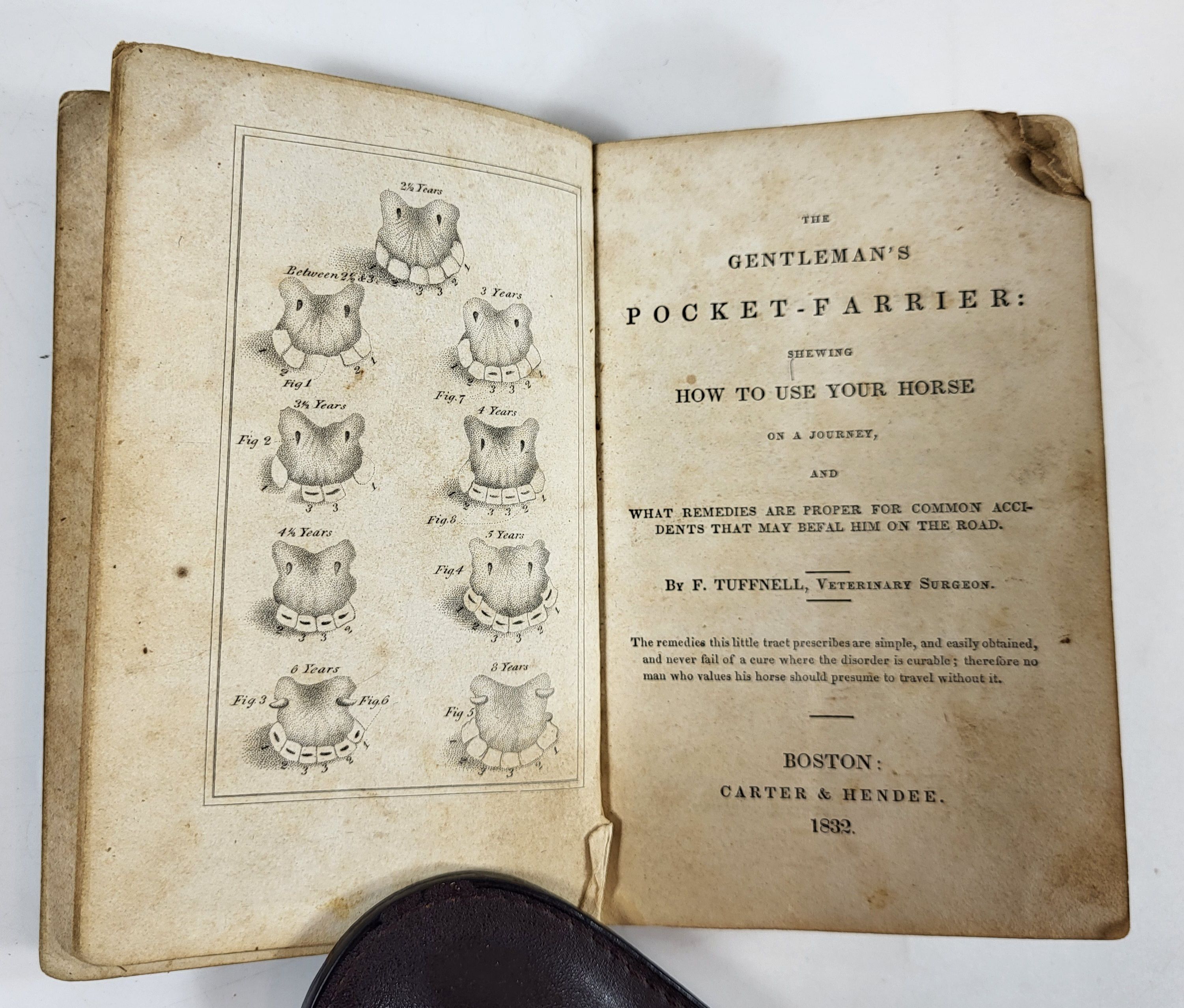 The Gentleman's Pocket-Farrier: Shewing How to Use Your Horse on a Journey, and What Remedies are Proper for Common Accidents That May Befal Him on the Road