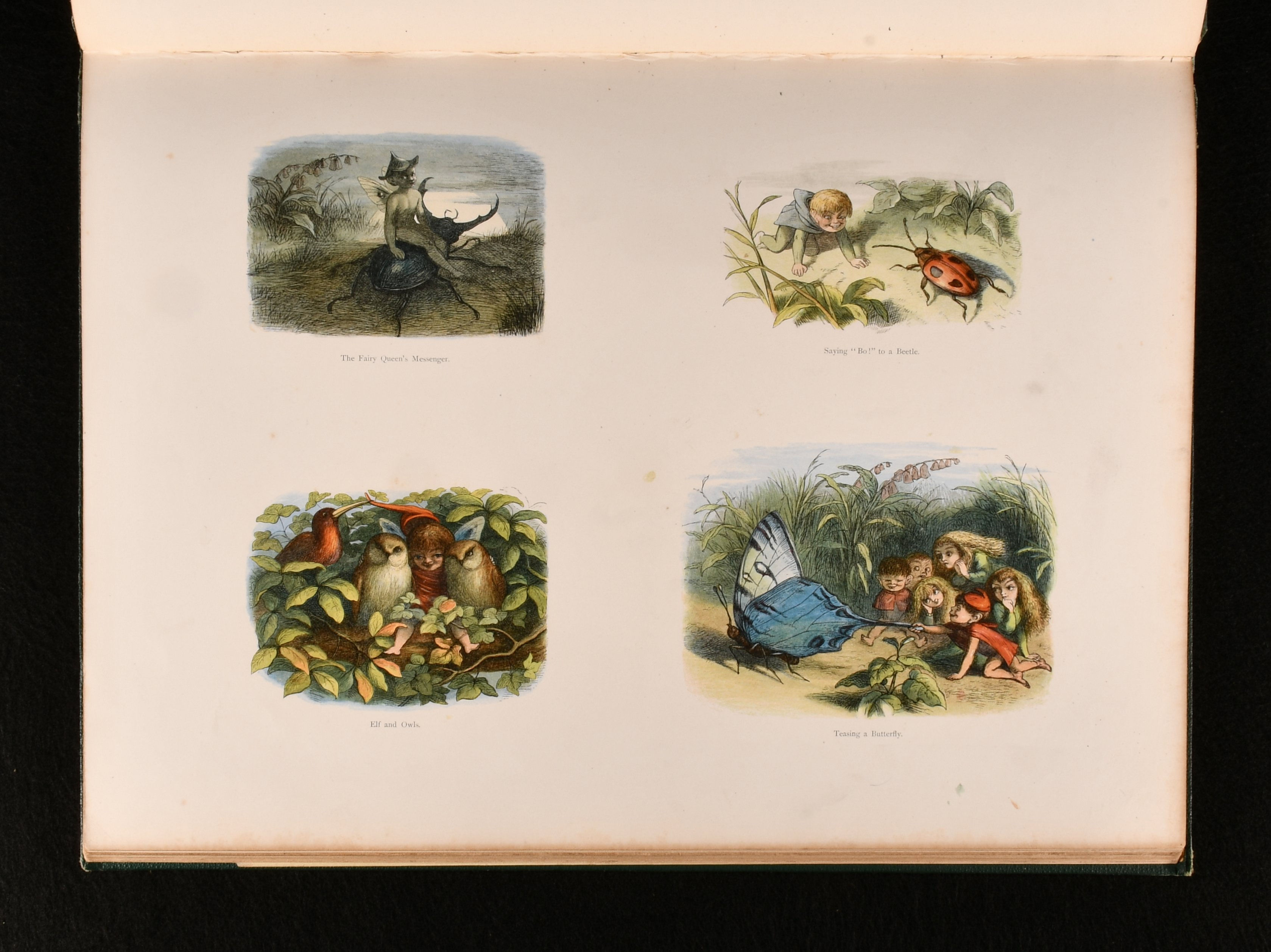 Richard Doyle; W Allingham - In Fairyland a Series of Pictures from the Elf-World