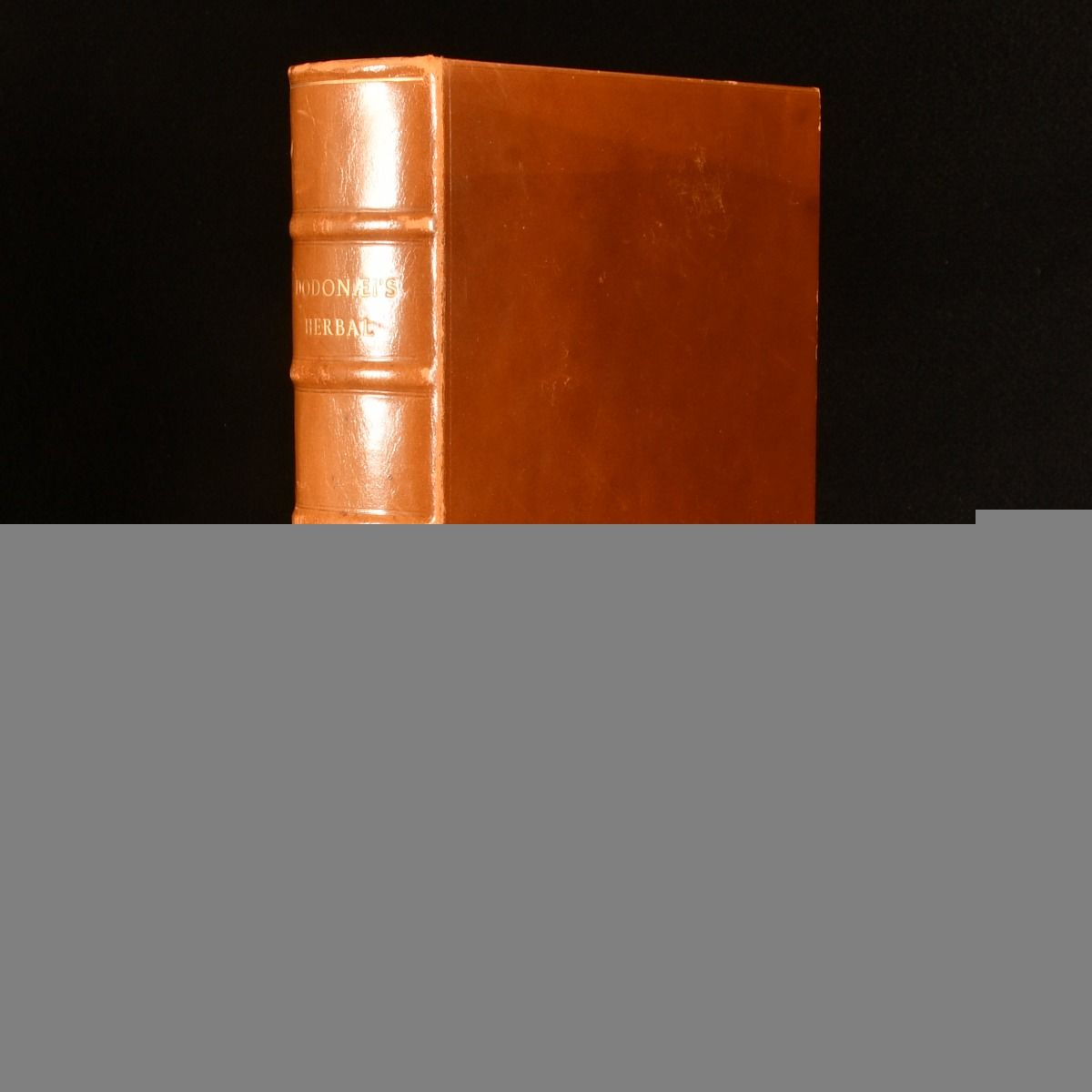 Rembert Dodoens; Henry Lyte - A Niewe Herball, or, Histoire of Plantes