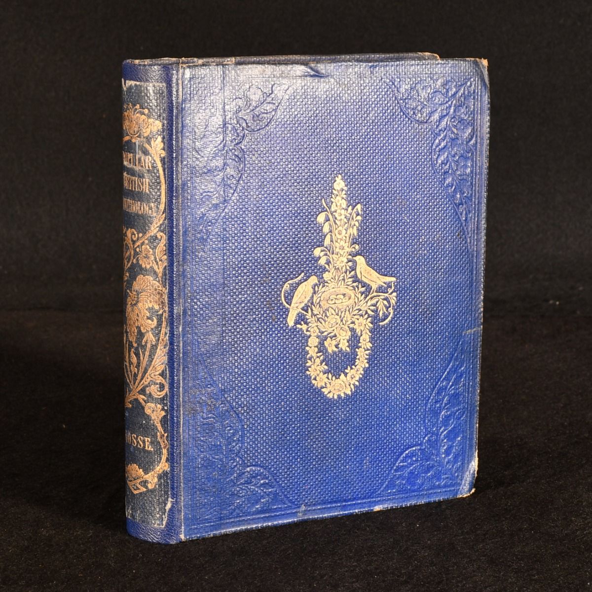 P. H. Gosse - Popular British Ornithology Containing Familiar and Technical Description of the Birds of the British Isles
