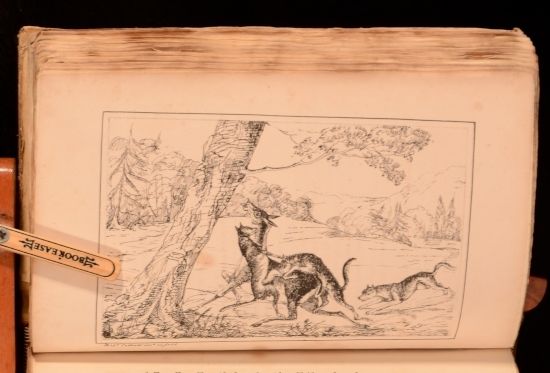 Richard Cobbold - Valentine Verses; or, Lines of Truth, Love and Virtue