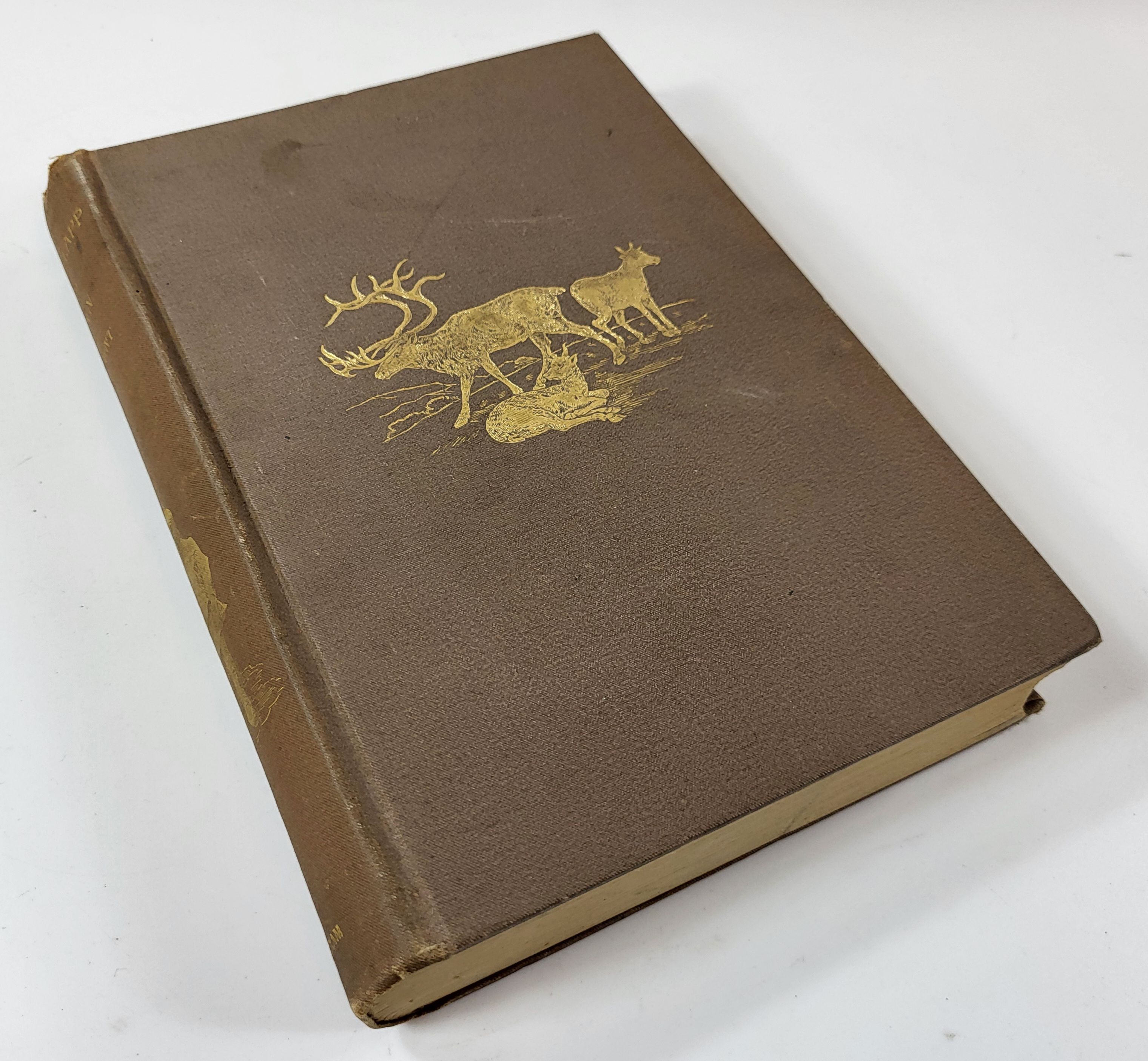 Image for Norsk, Lapp and Finn: or, Travel Tracings from the Far North of Europe Norsk, Lapp and Finn: or, Travel Tracings from the Far North of Europe