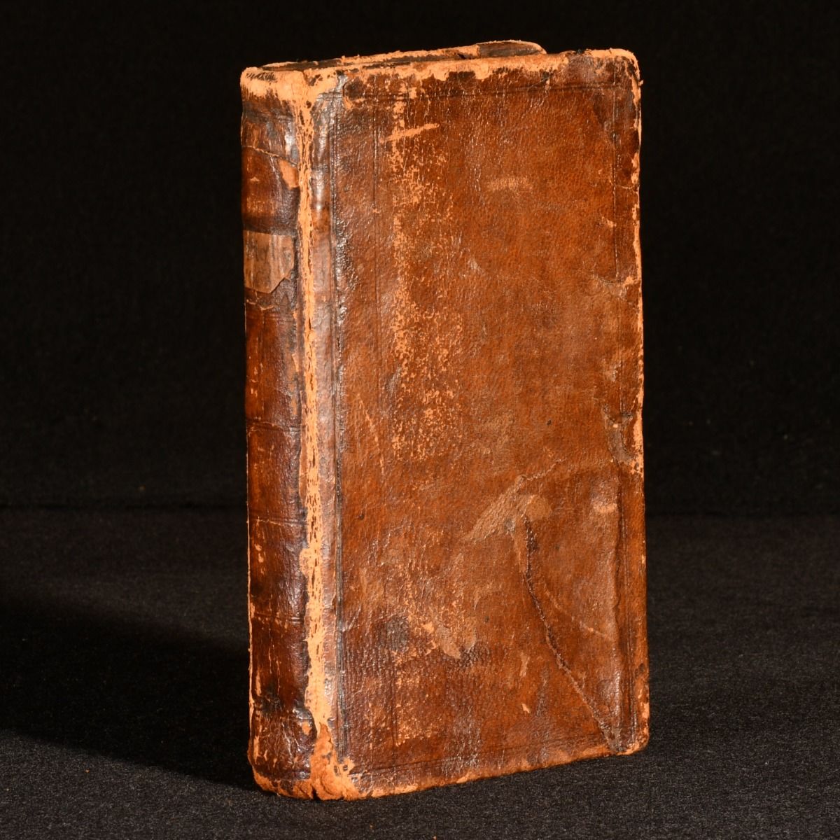 [Kenelm Digby] - Theatrum Sympatheticum