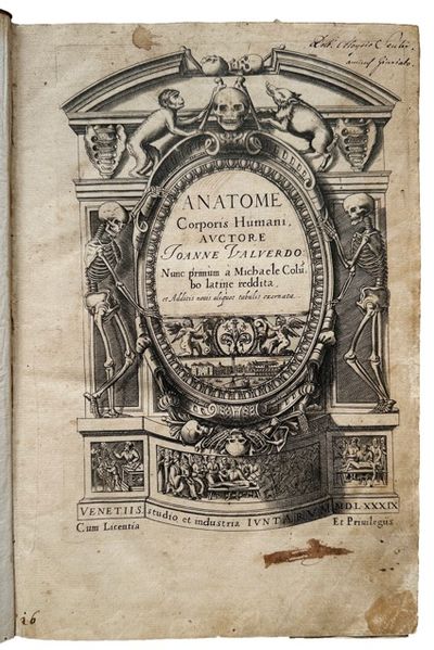 Image for Anatome Corporis Humani, auctore Ioanne Valuerdo. Nunc primum a Michaele Columbo latine reddita et additis nouis aliquot tabulis exornata. Anatome Corporis Humani, auctore Ioanne Valuerdo. Nunc primum a Michaele Columbo latine reddita et additis nouis aliquot tabulis exornata.