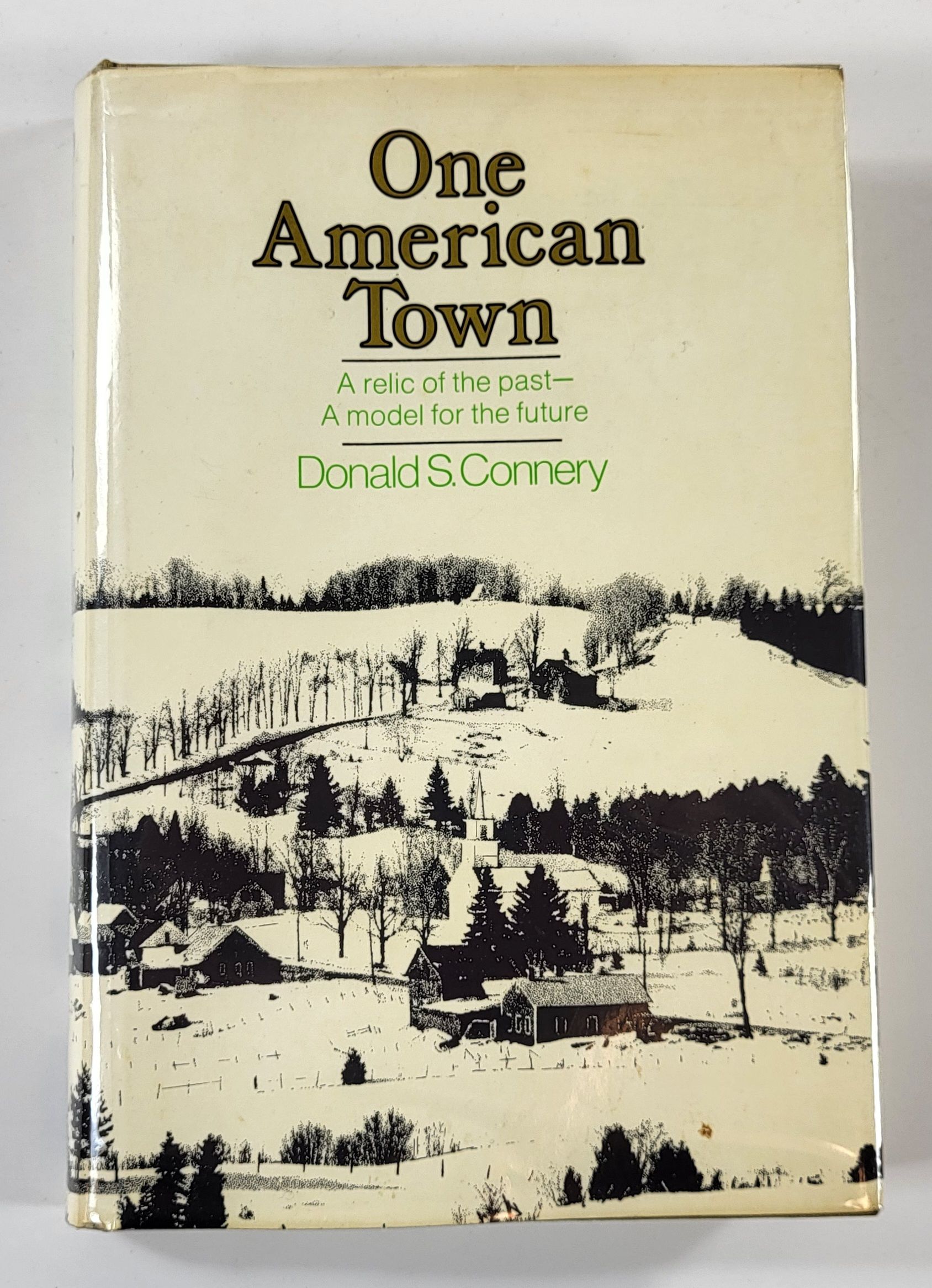 Image for One American Town One American Town